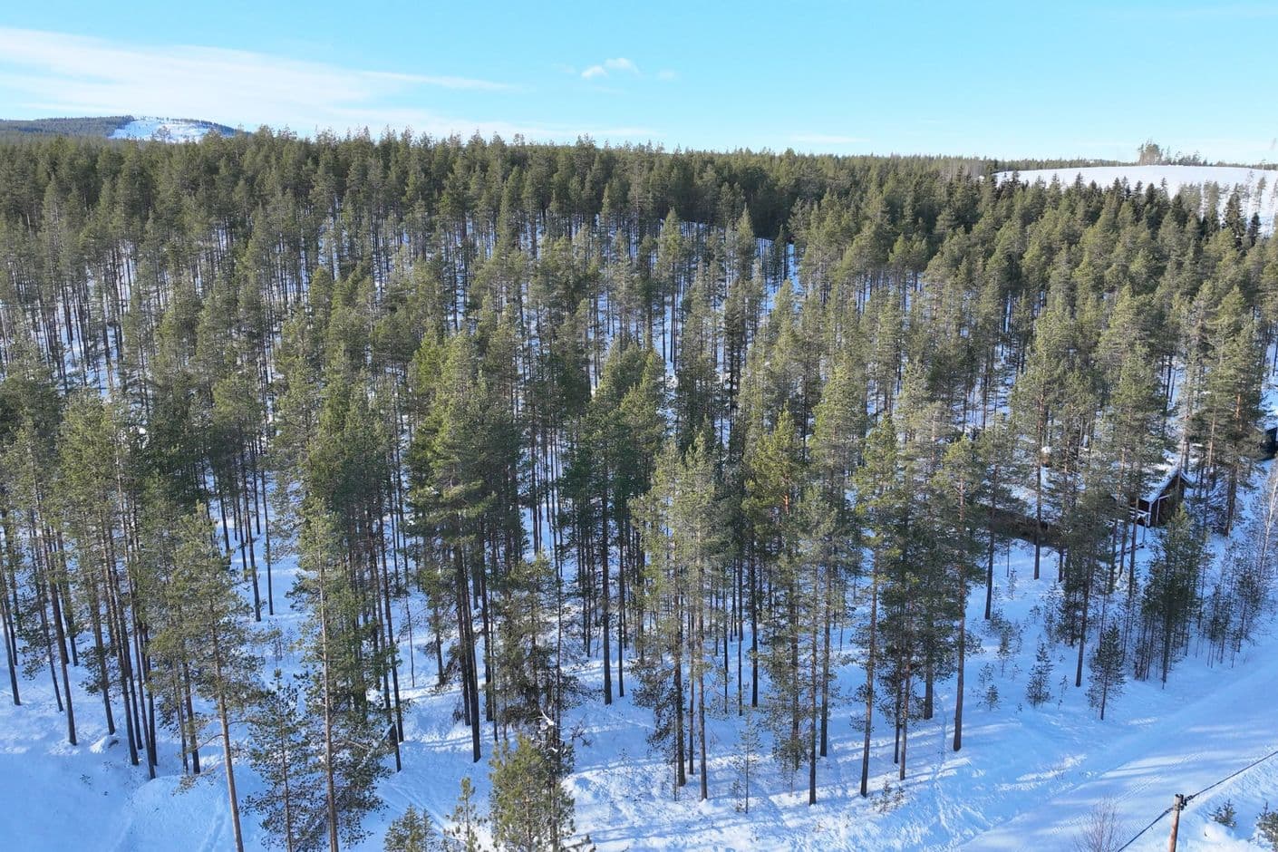 Sikvägen 12