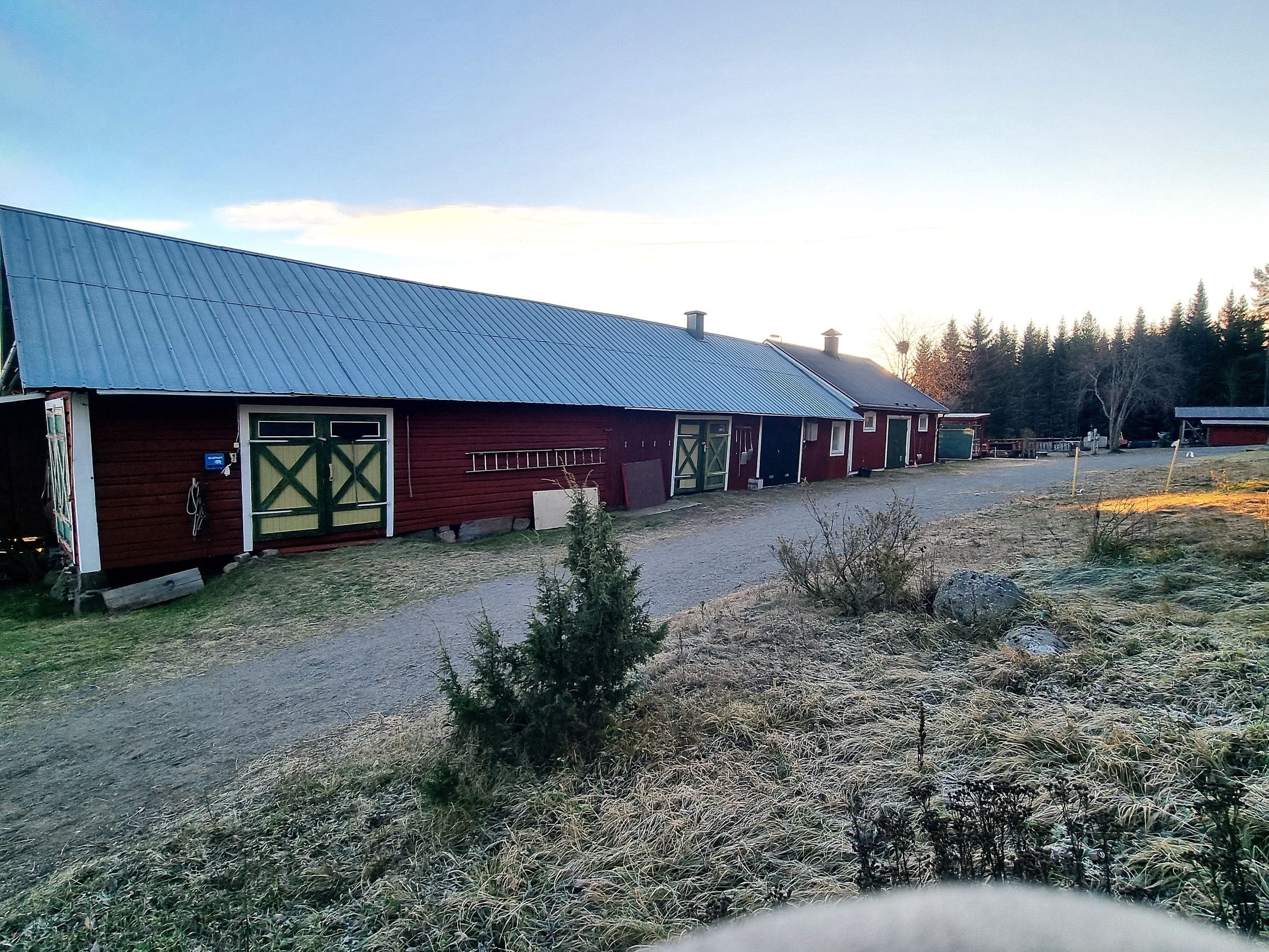 Exteriör