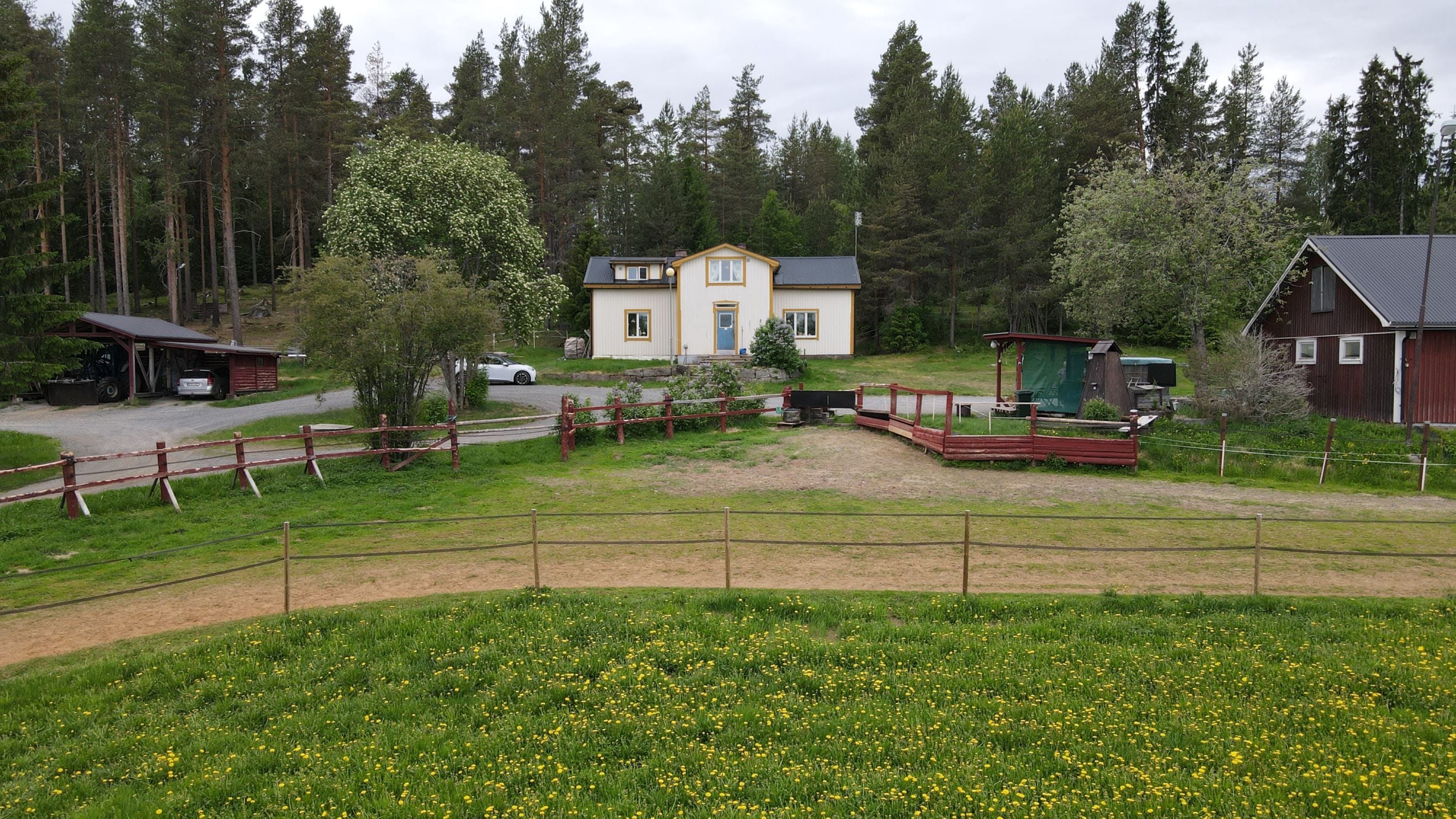 Exteriör