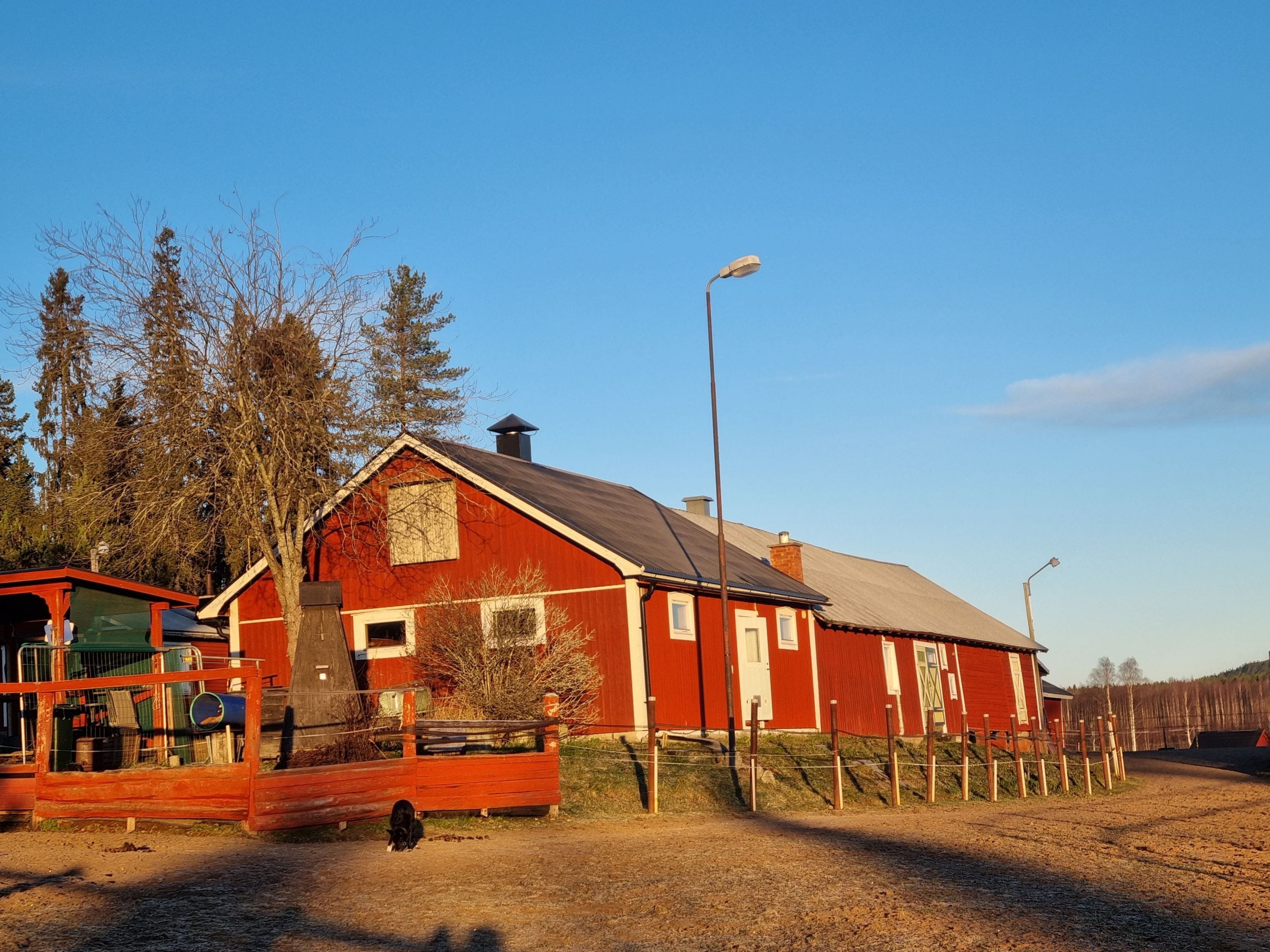 Exteriör