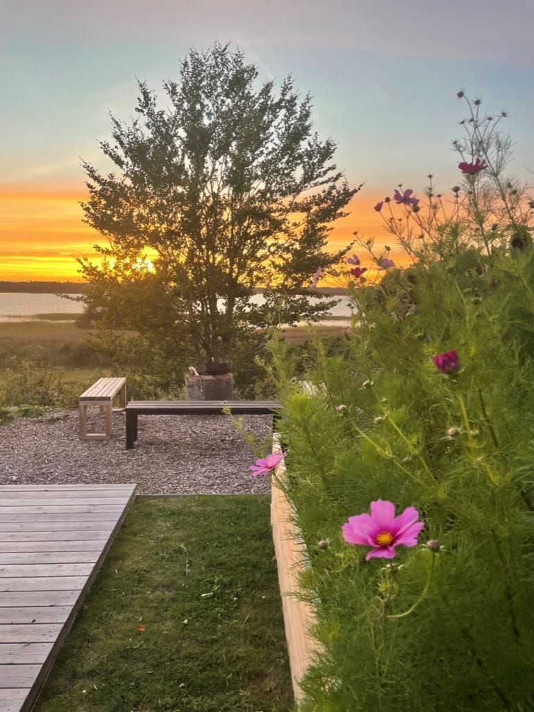 Säljarens egna bild