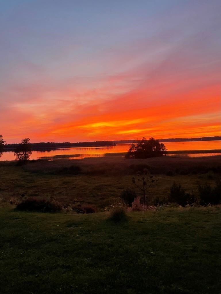 Säljarens egna bild