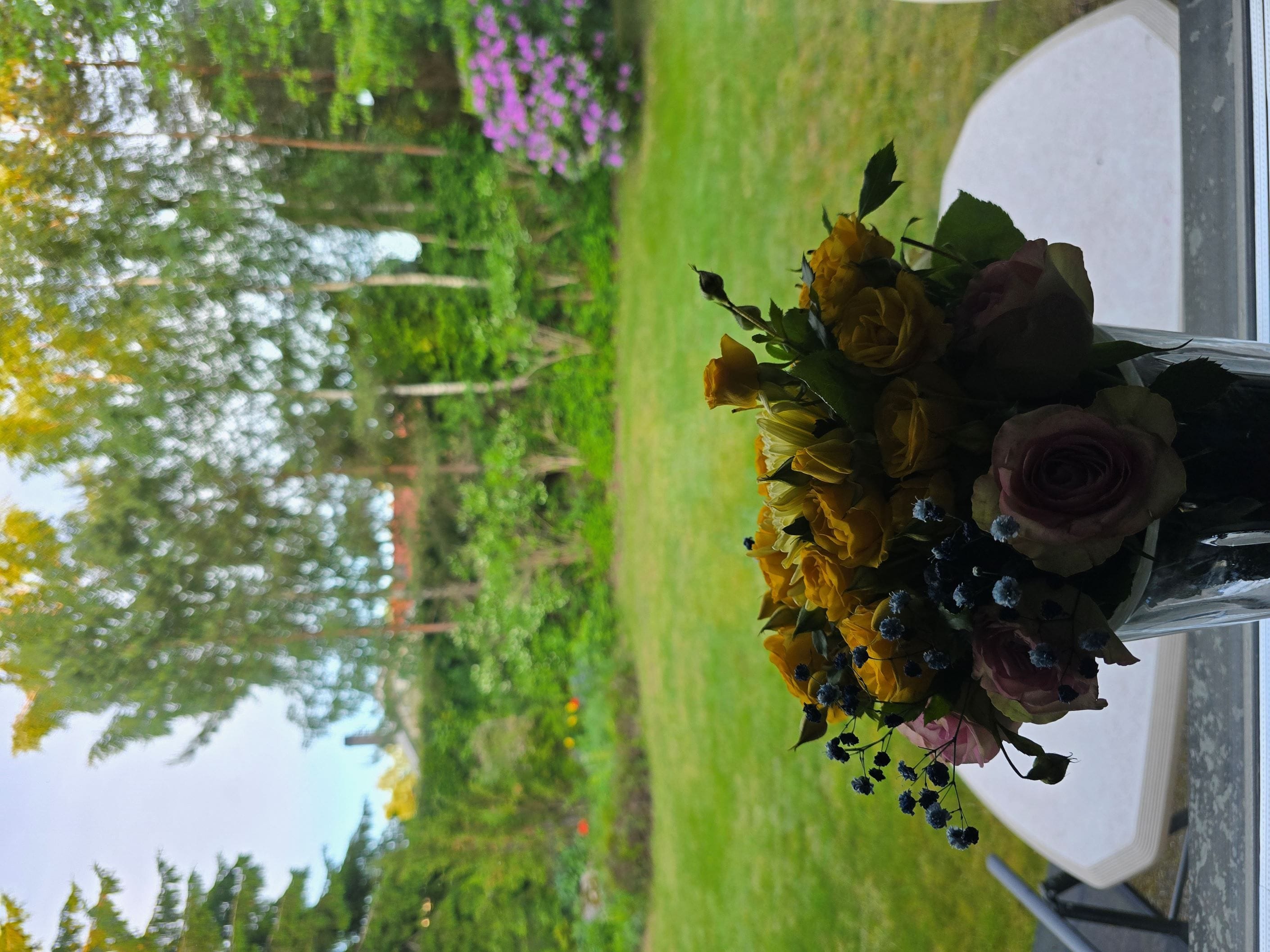 Säljarens egna bild
