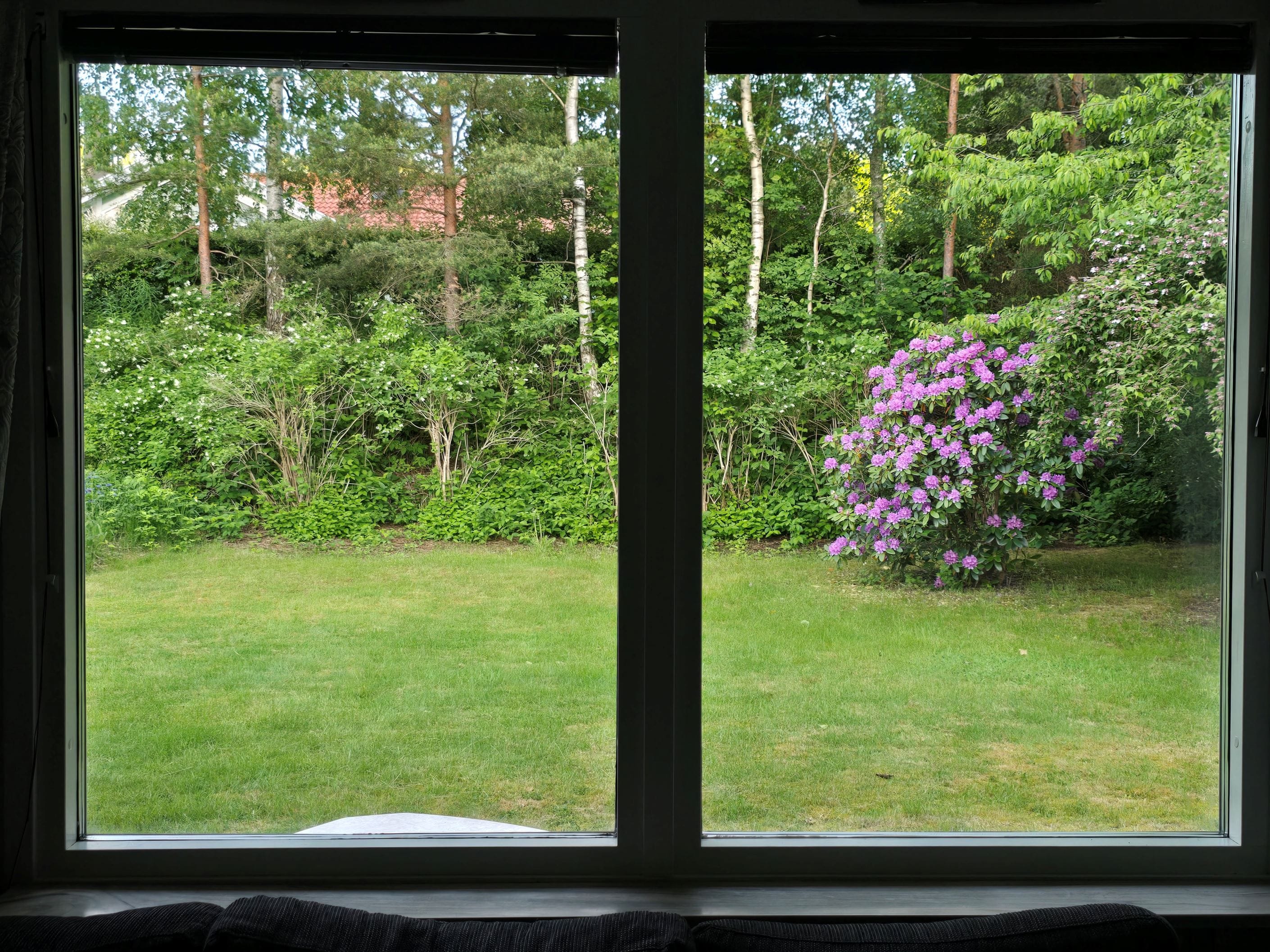 Säljarens egna bild