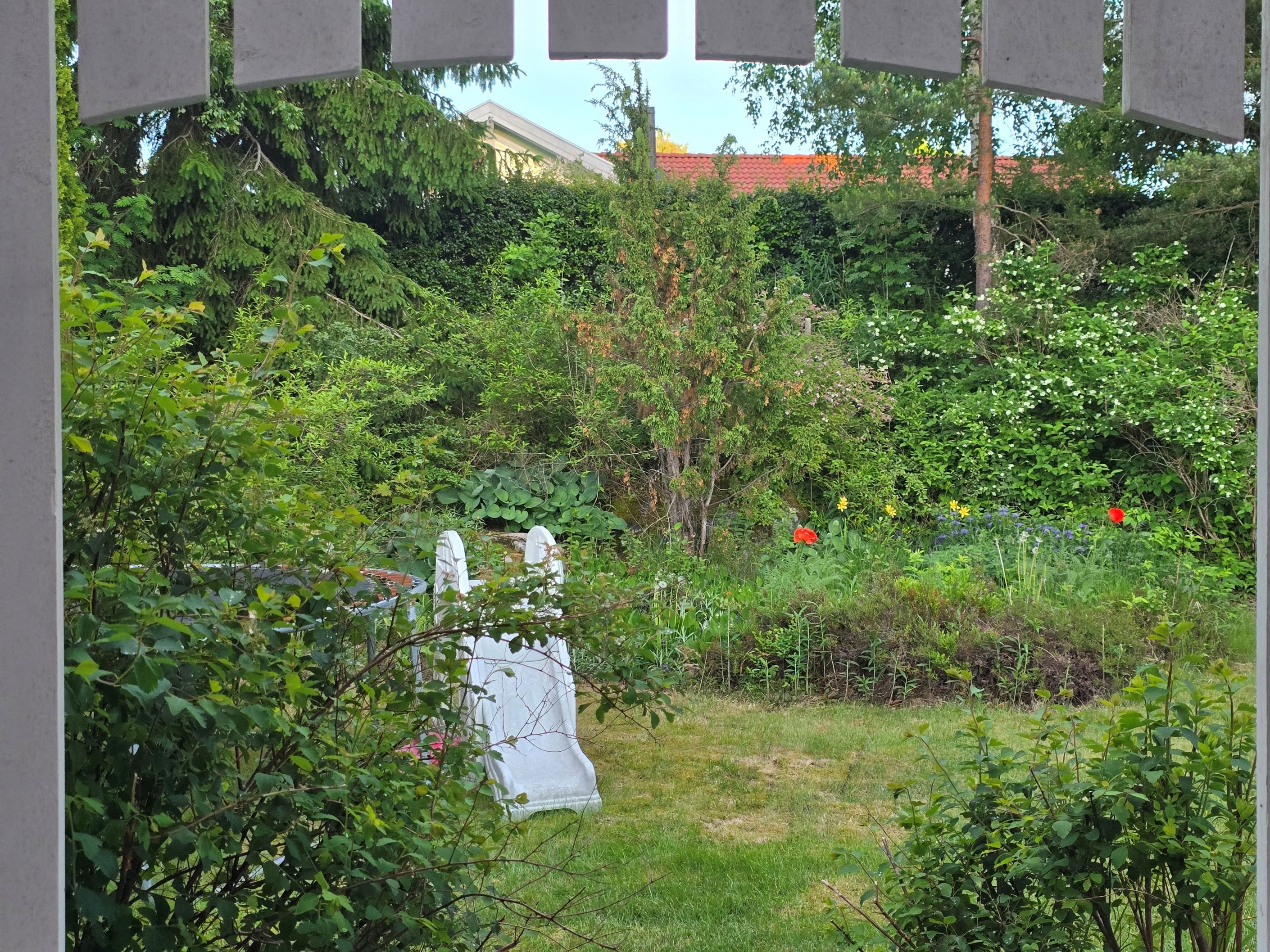 Säljarens egna bild