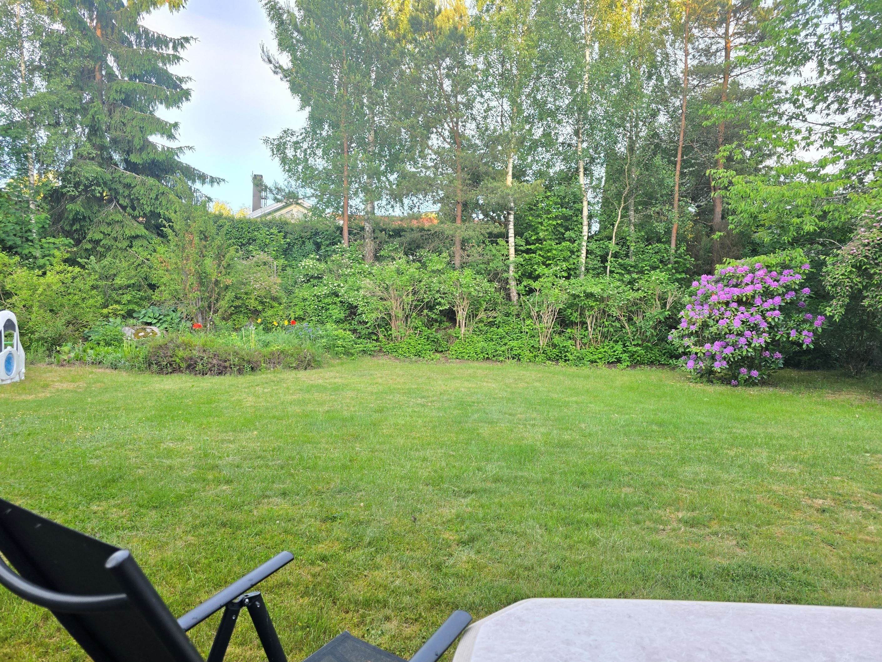 Säljarens egna bild
