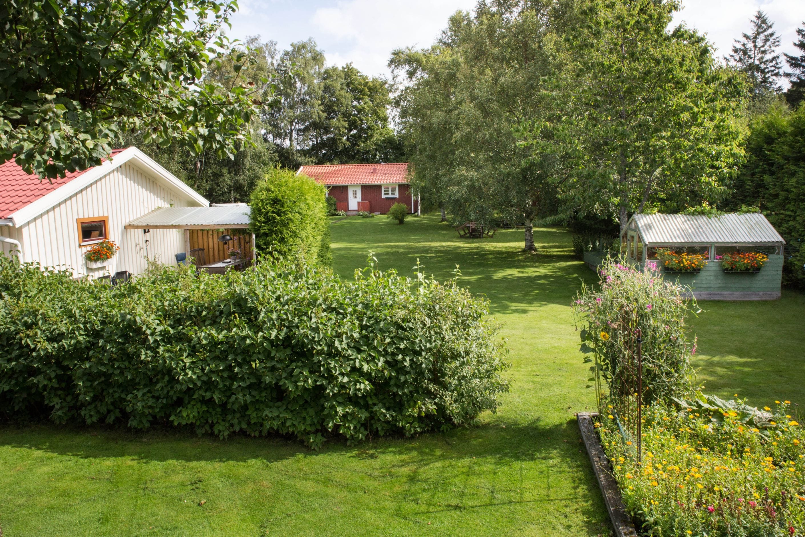 Vänder man blicken mot trädgården kommer känslan av en oas.