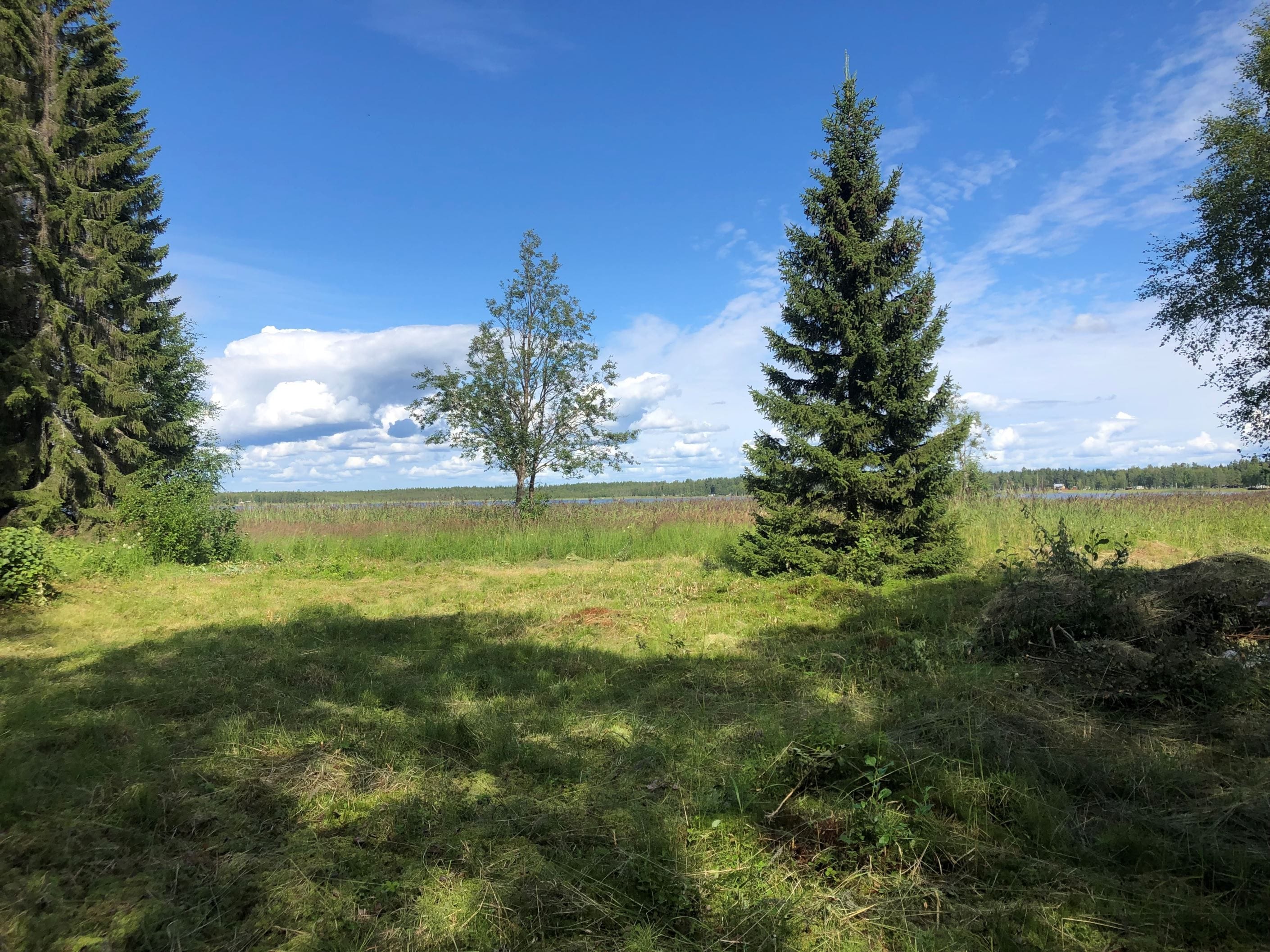 Säljarens bilder