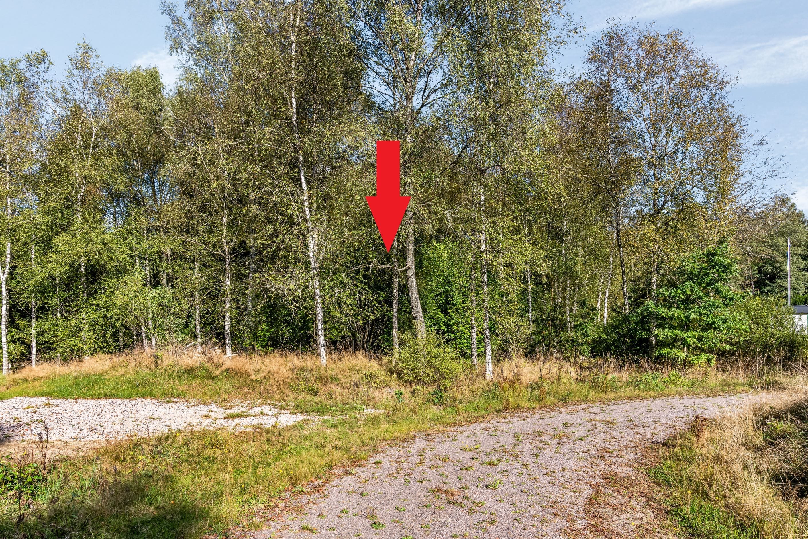 Fasanstigen 2