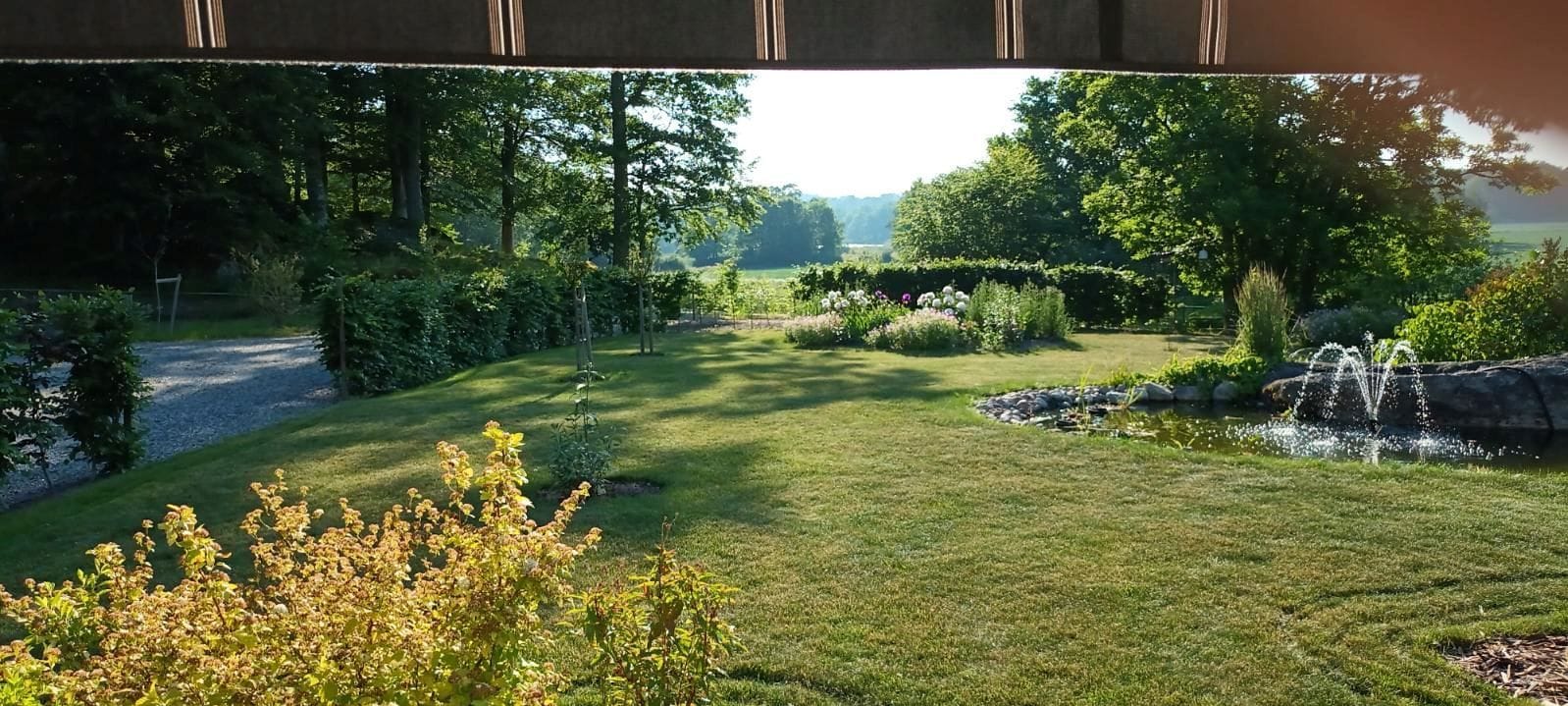 Säljarens bild