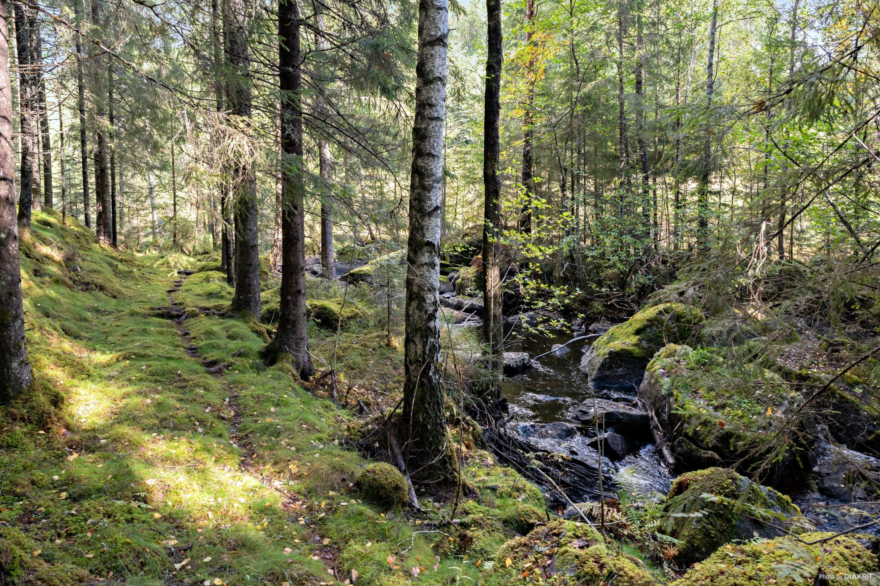Bäcken med stigen bredvid