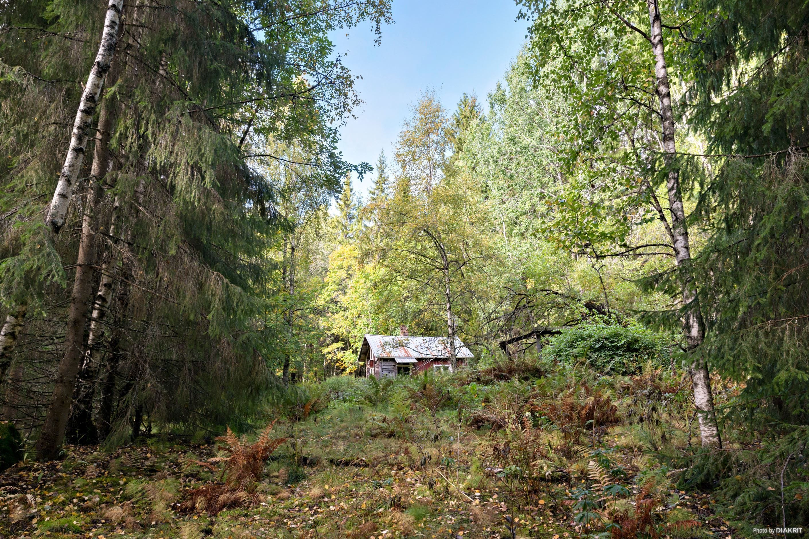 Vy från stigen upp till huset