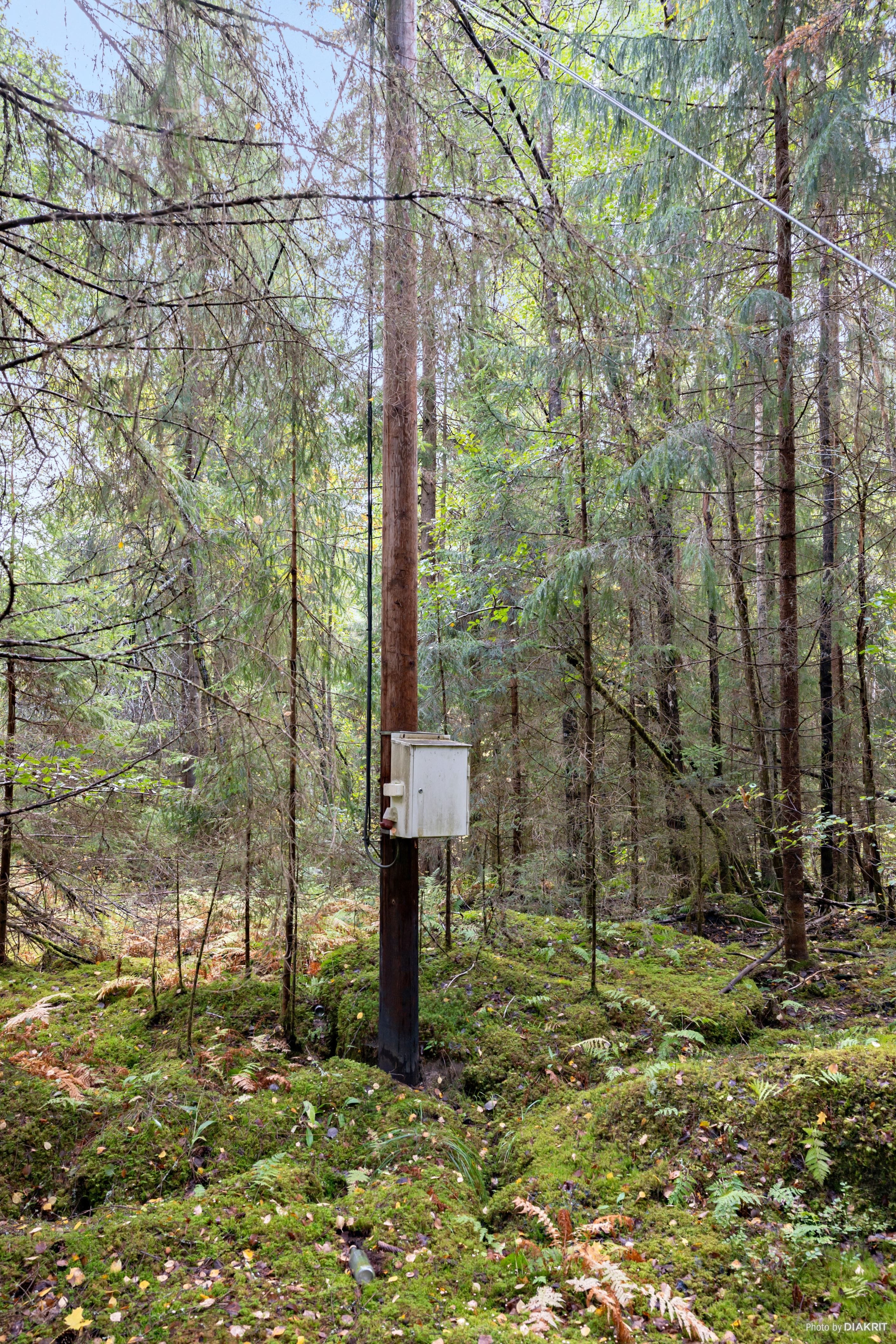 Elskåp på fastigheten