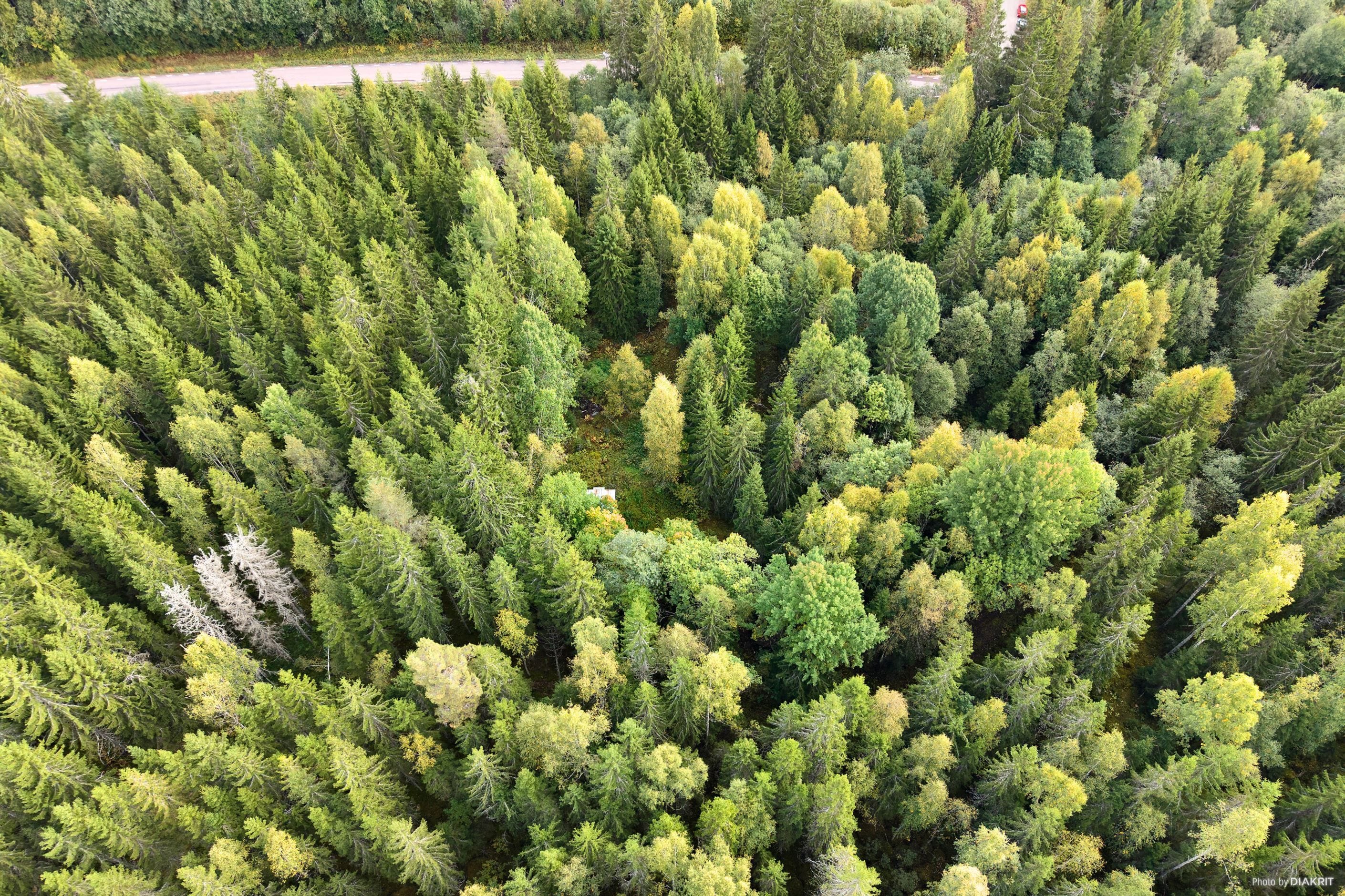 Drönarbild över fastigheten