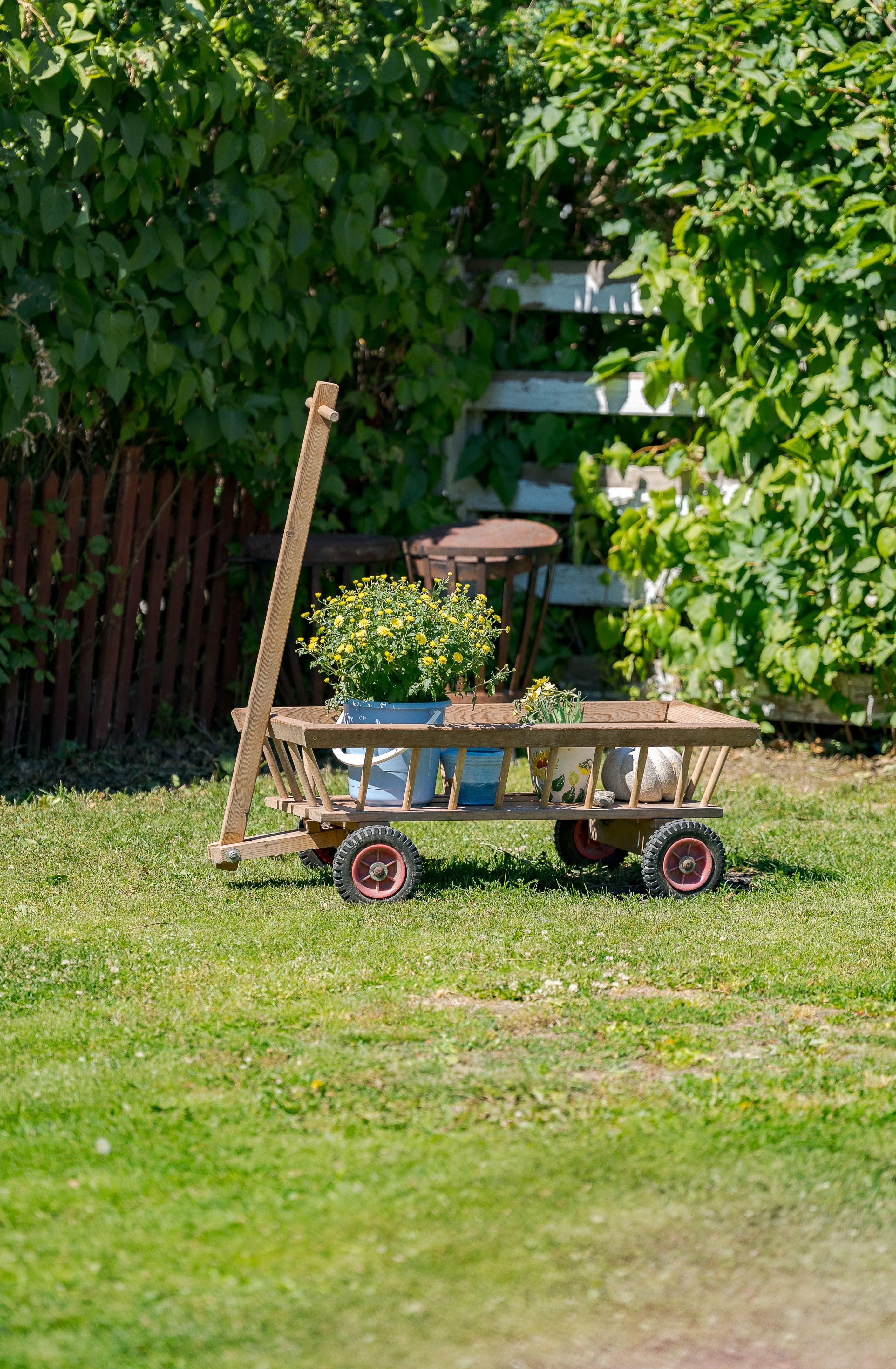 Trädgård