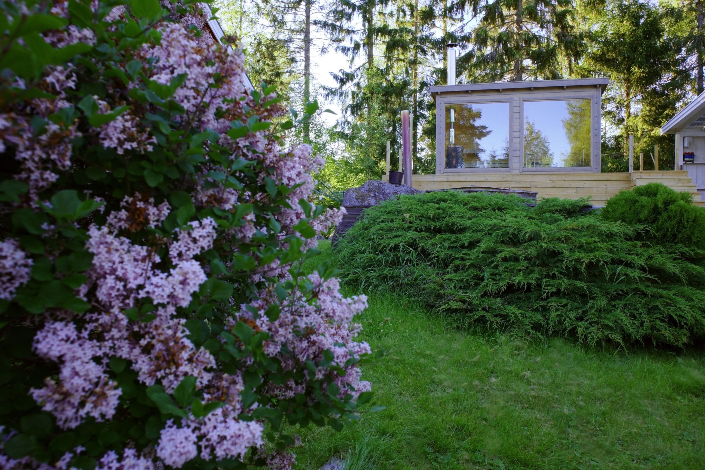 Trädgården