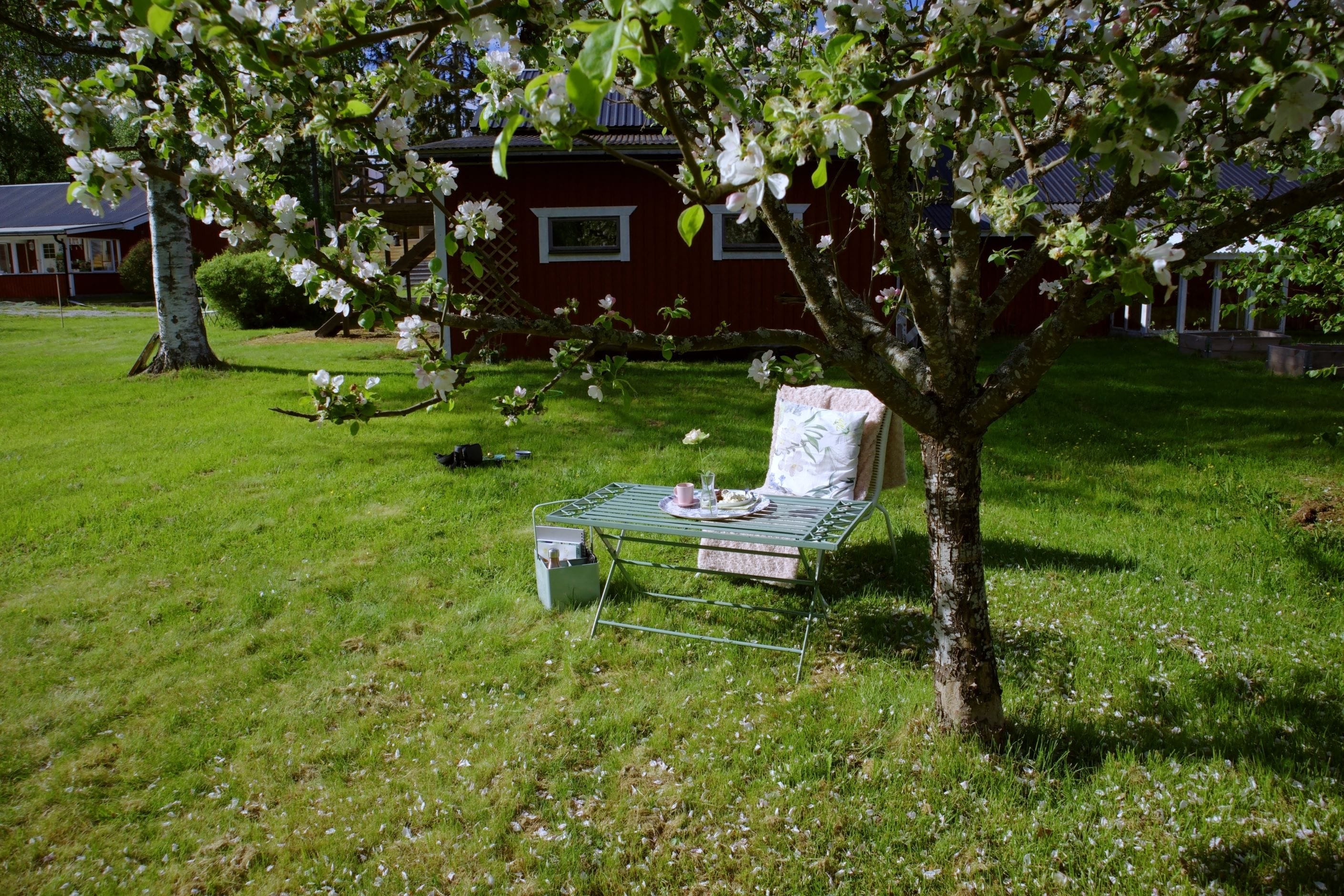 Trädgården