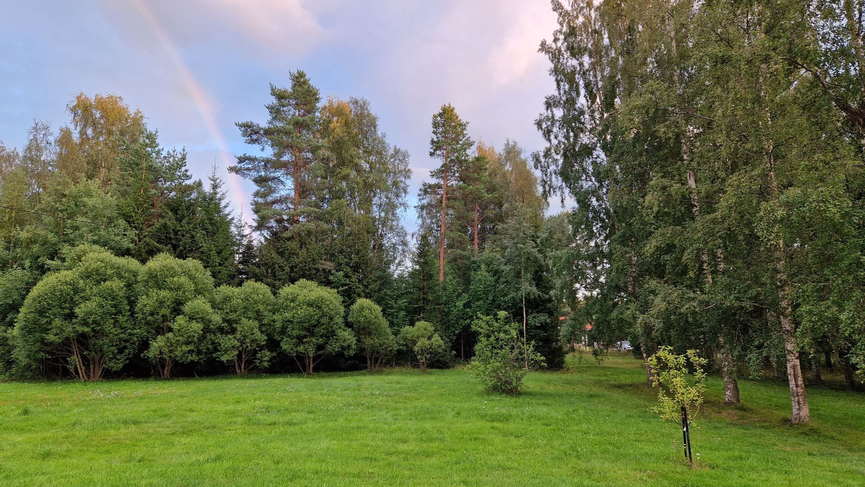 Trädgården
