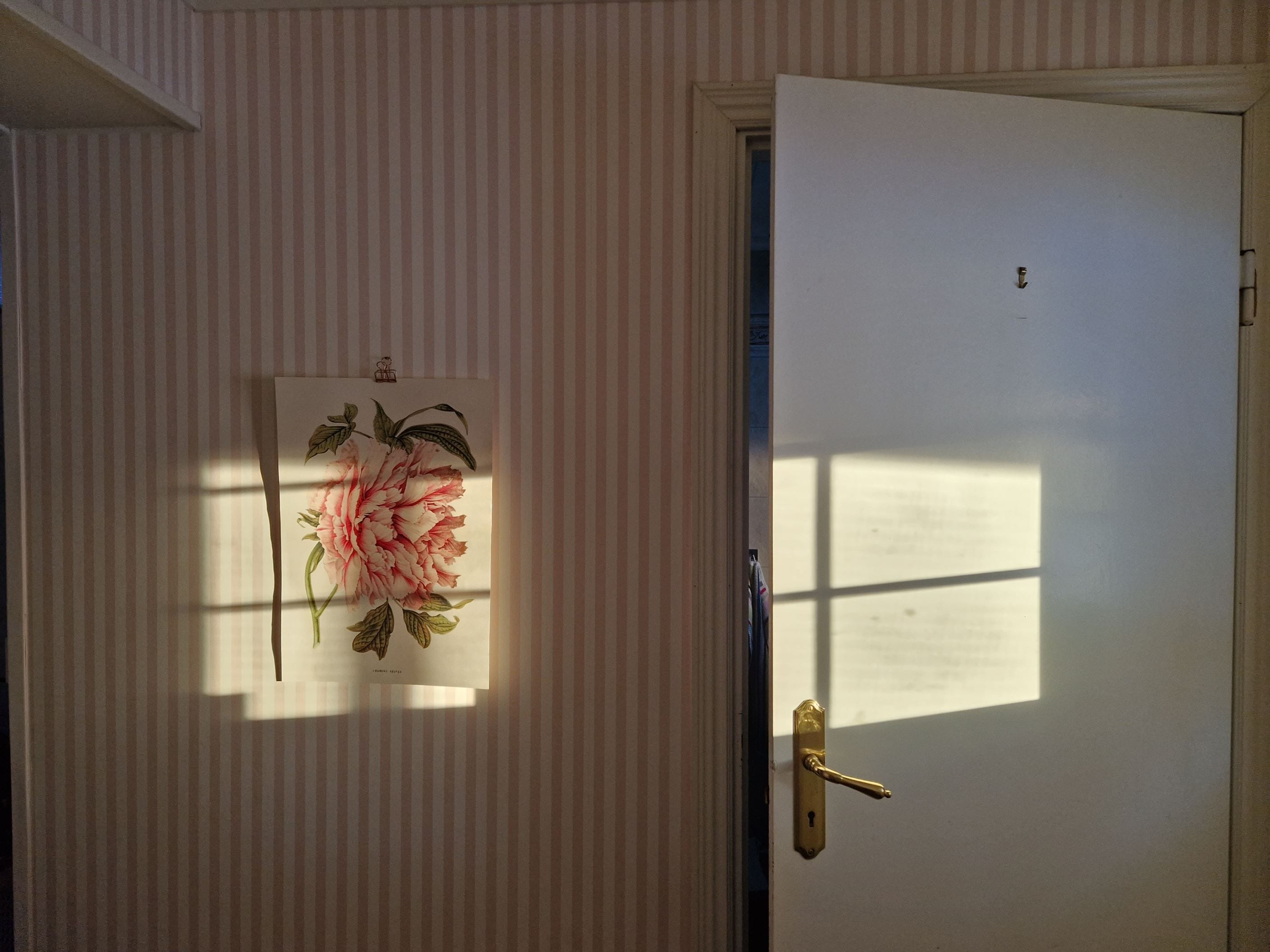 Hallen
