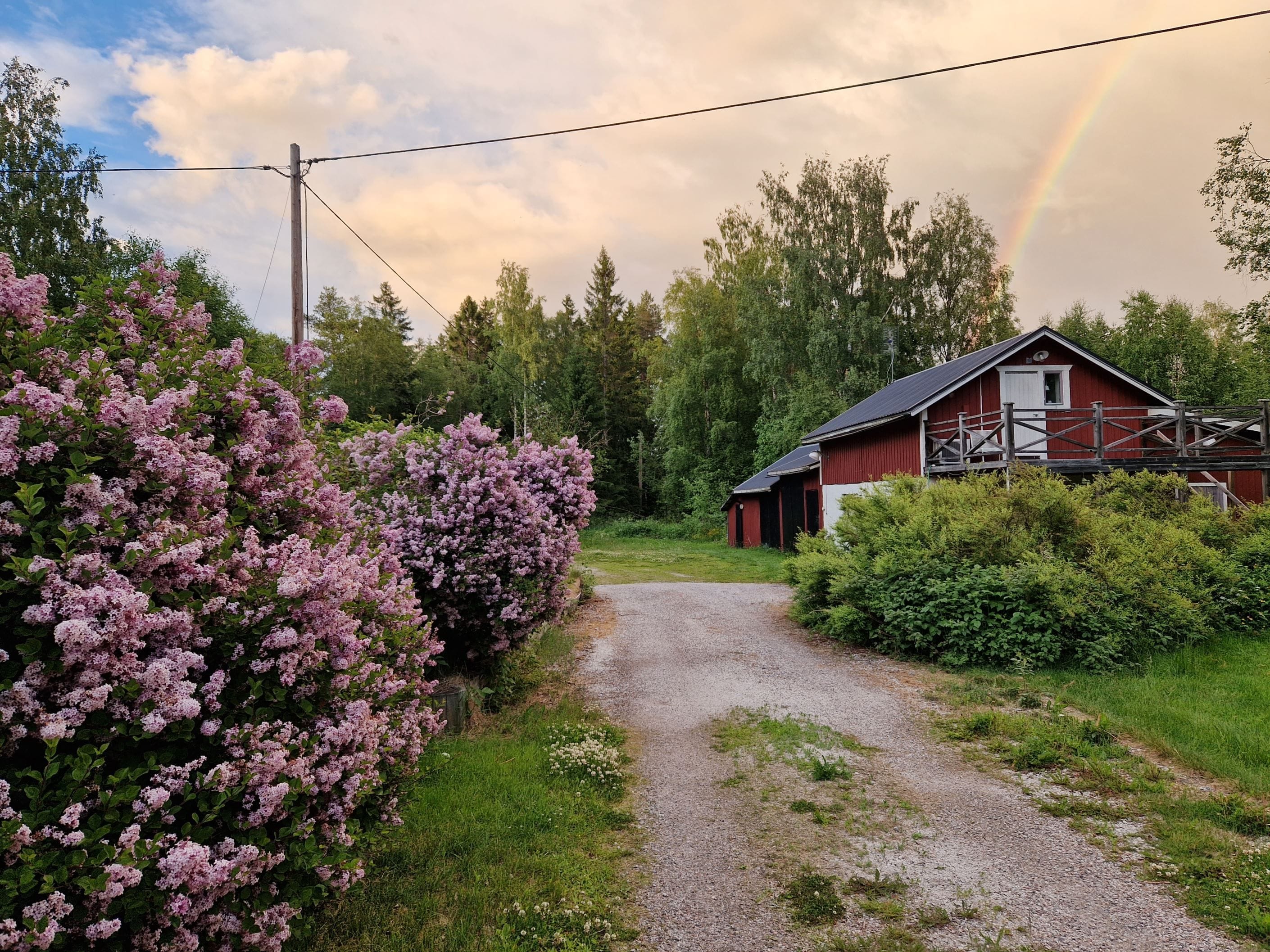 Trädgården