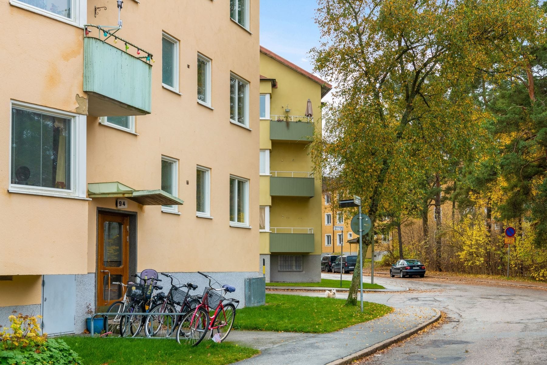 Exteriör