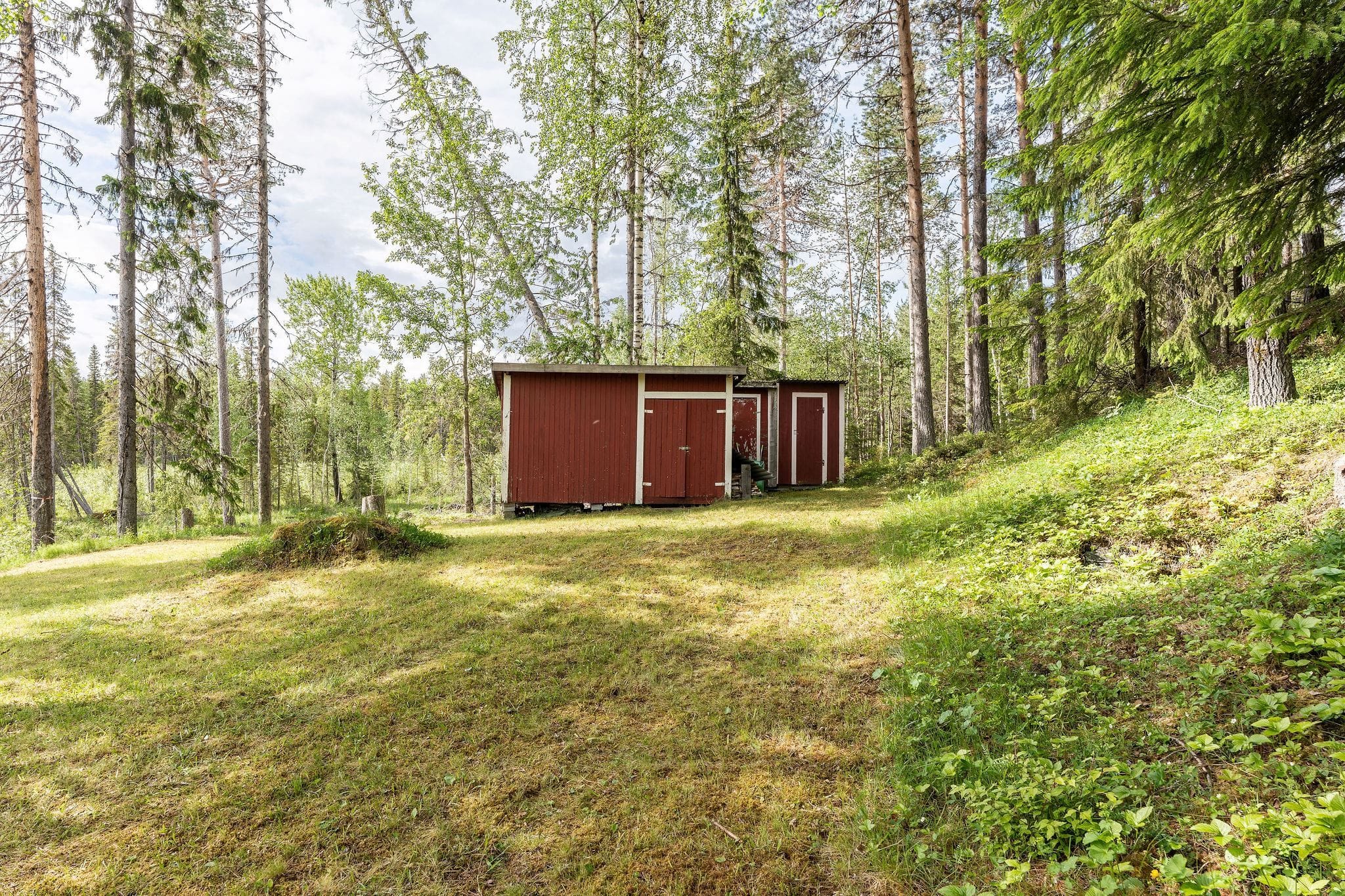 Exteriör