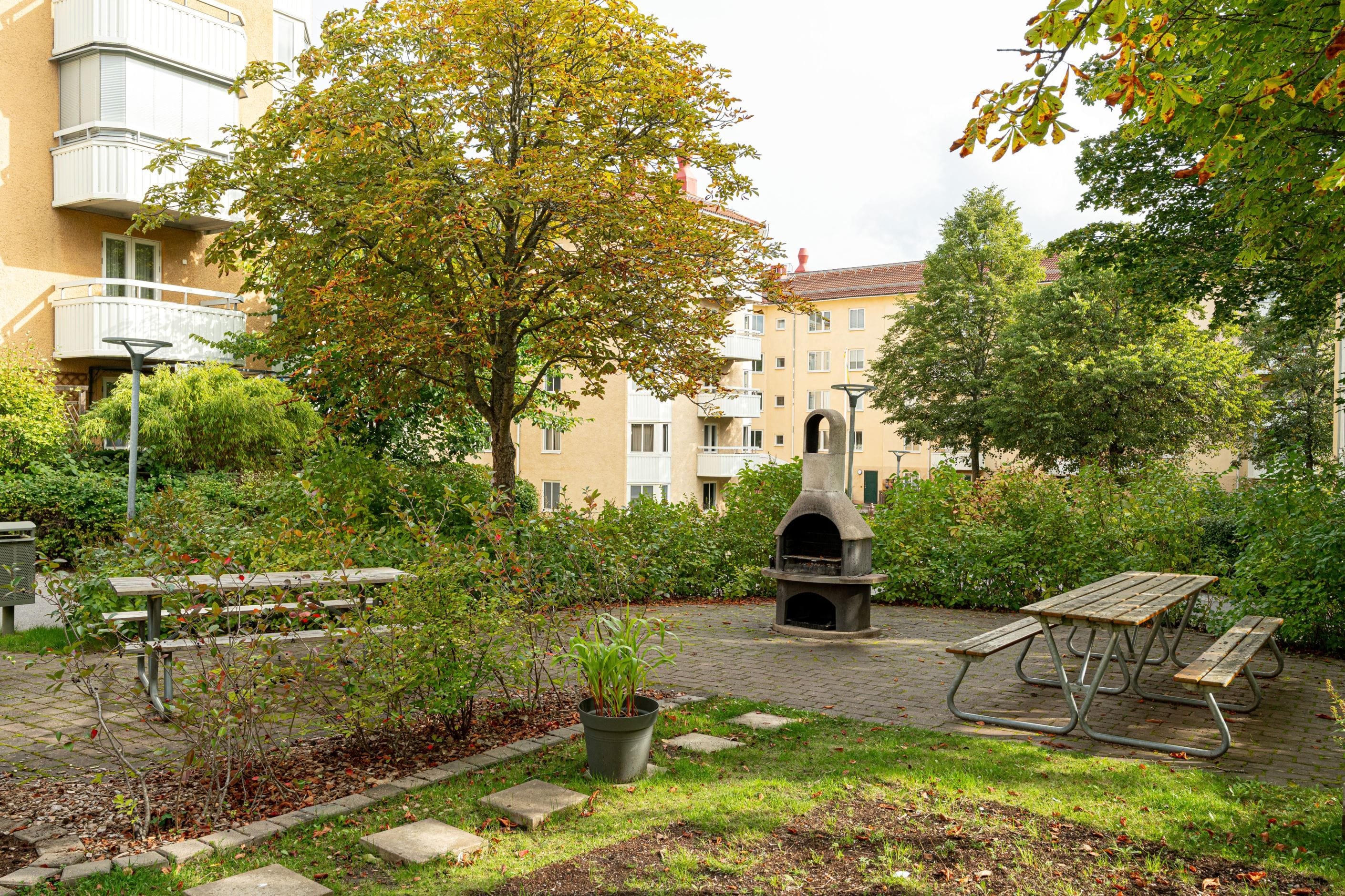 Bildkategori