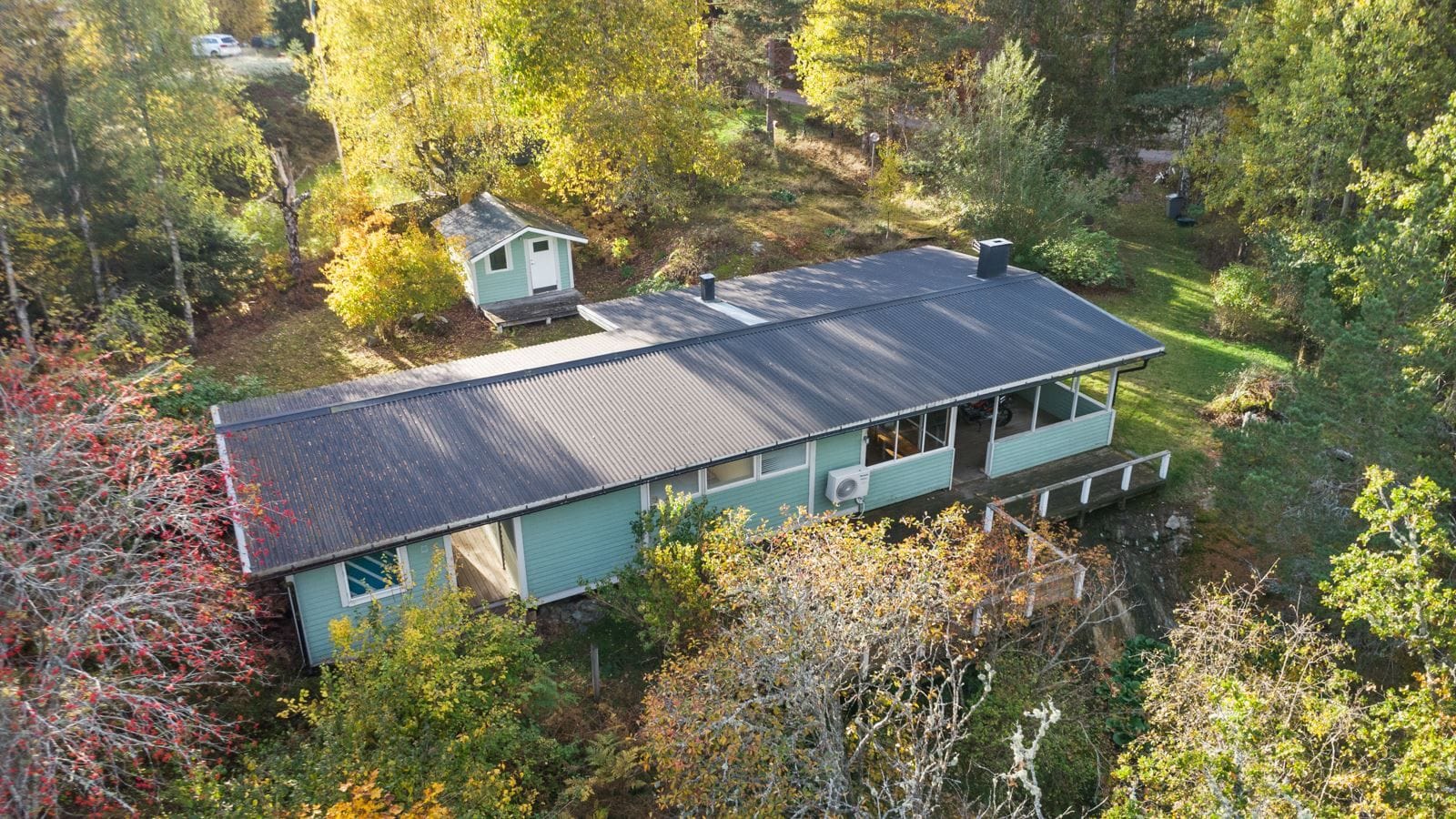 Exteriör
