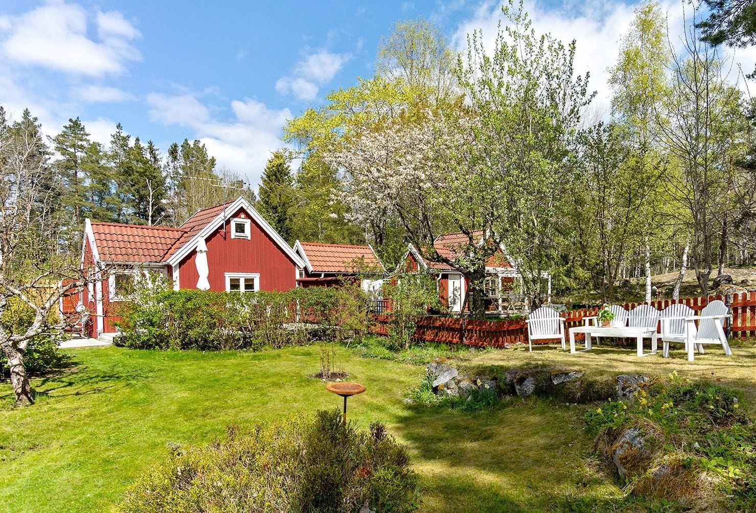 Trädgård