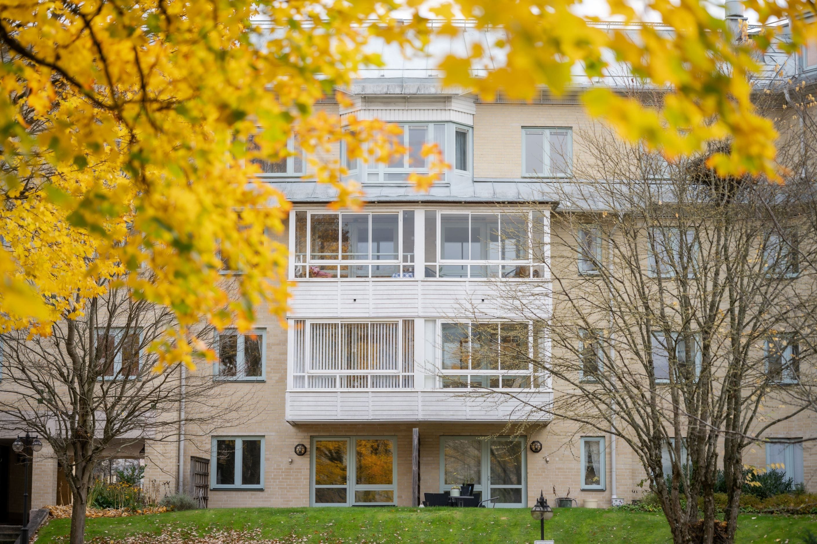 Exteriör