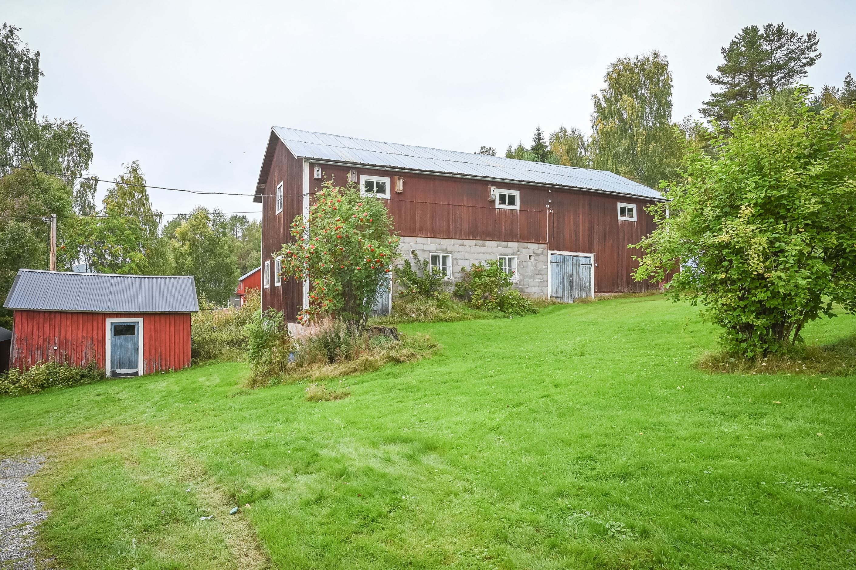 Exteriör