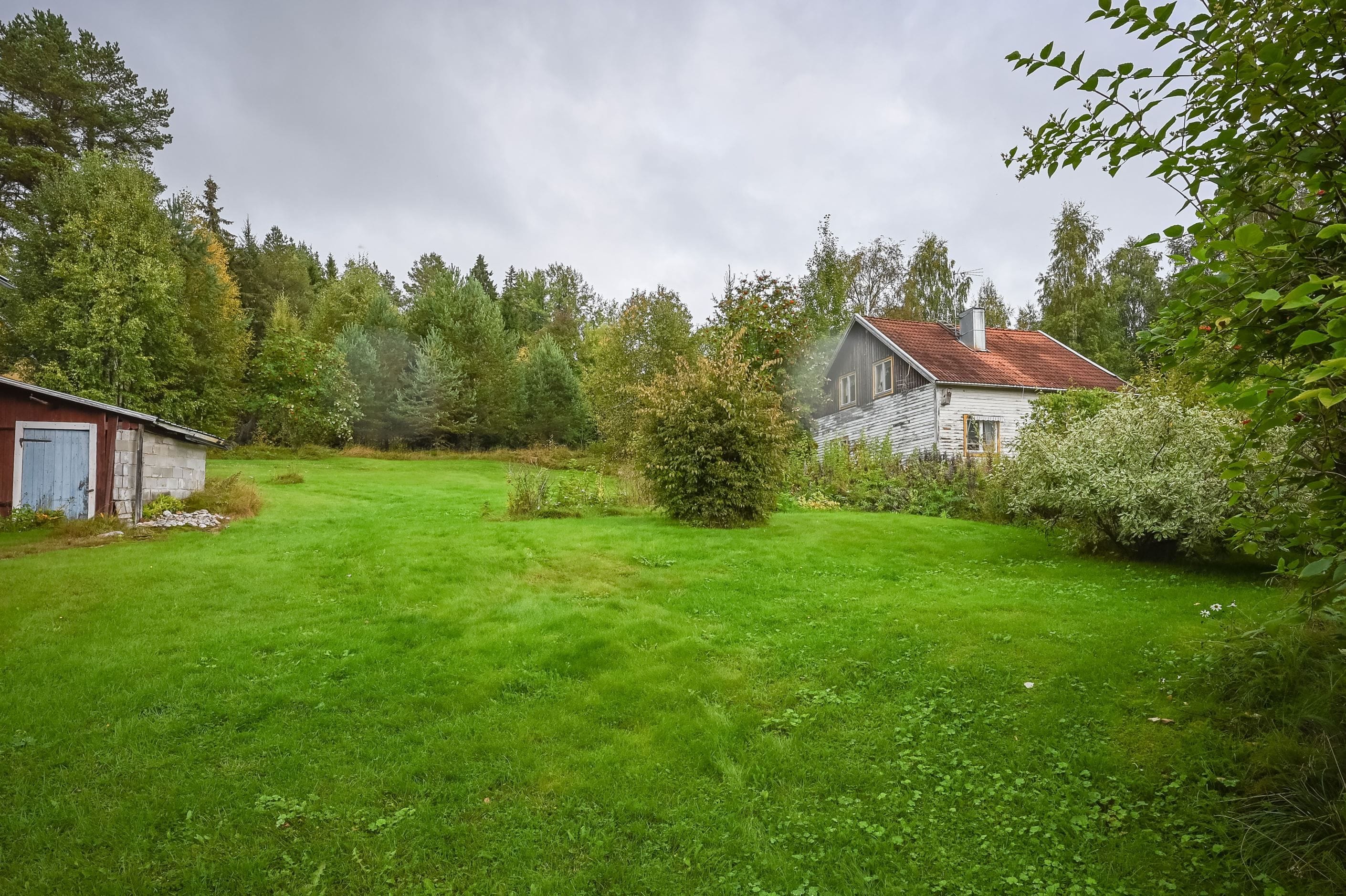 Exteriör