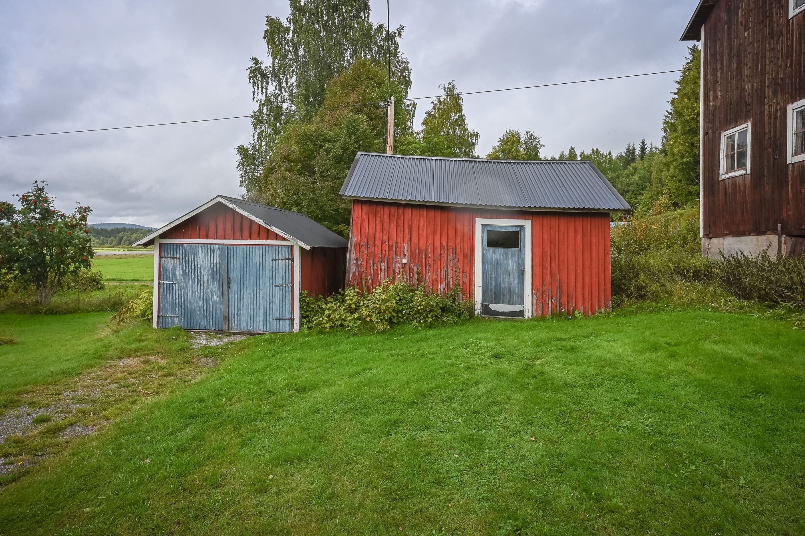 Exteriör