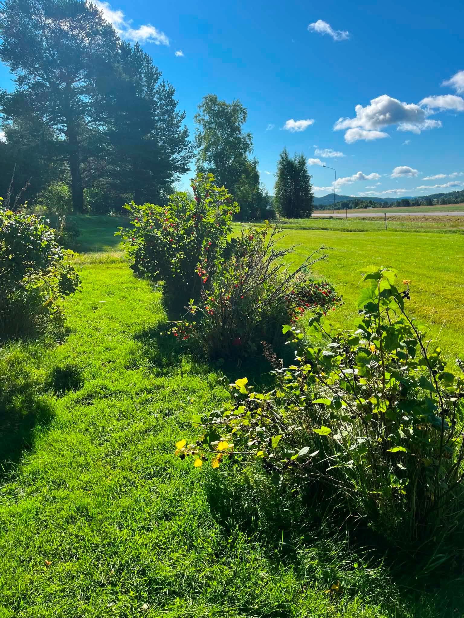 Säljarens egna bilder