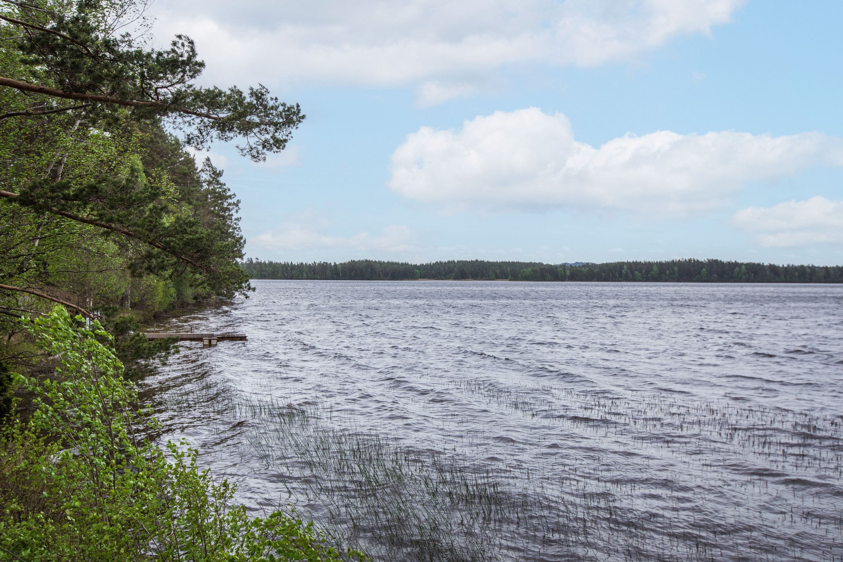 Omgivning kring Sandsjön