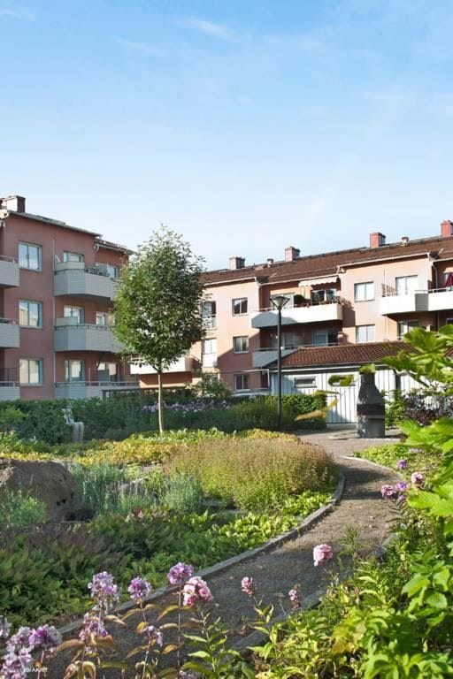Härlig grönska på innergården