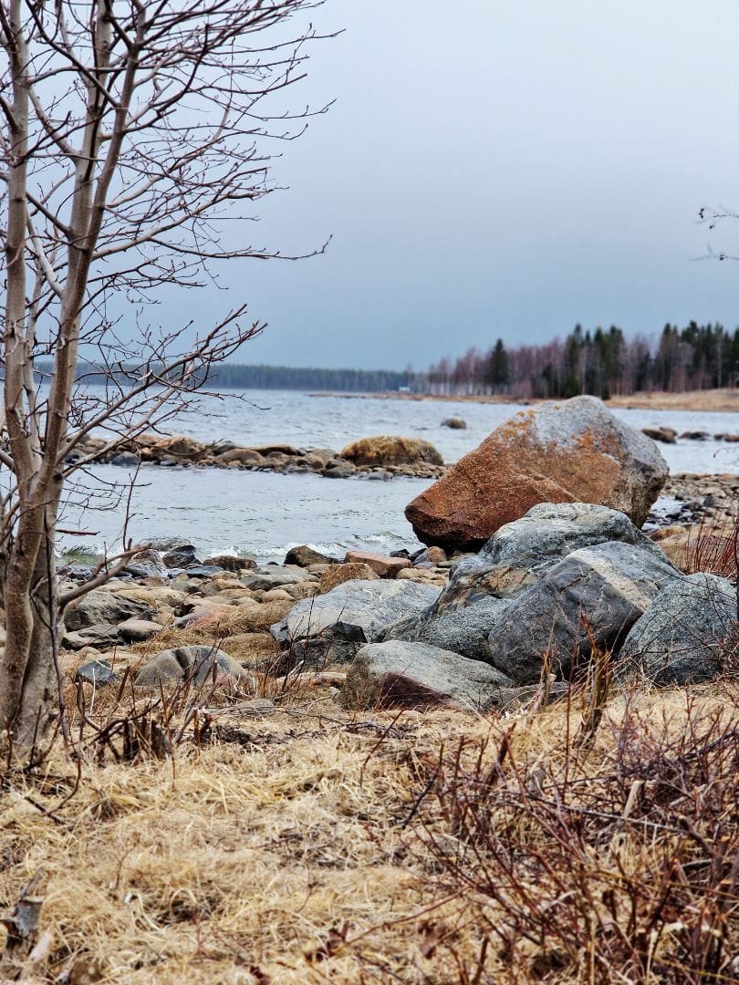 Säljarens bild