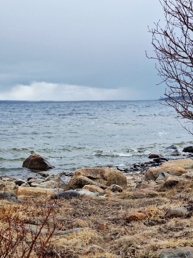Säljarens bild
