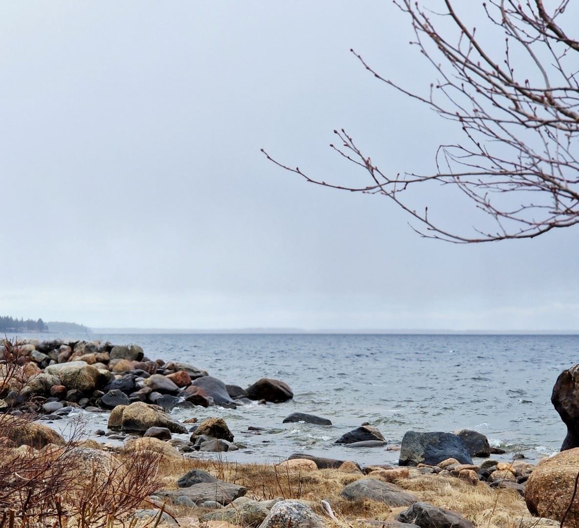Säljarens bild