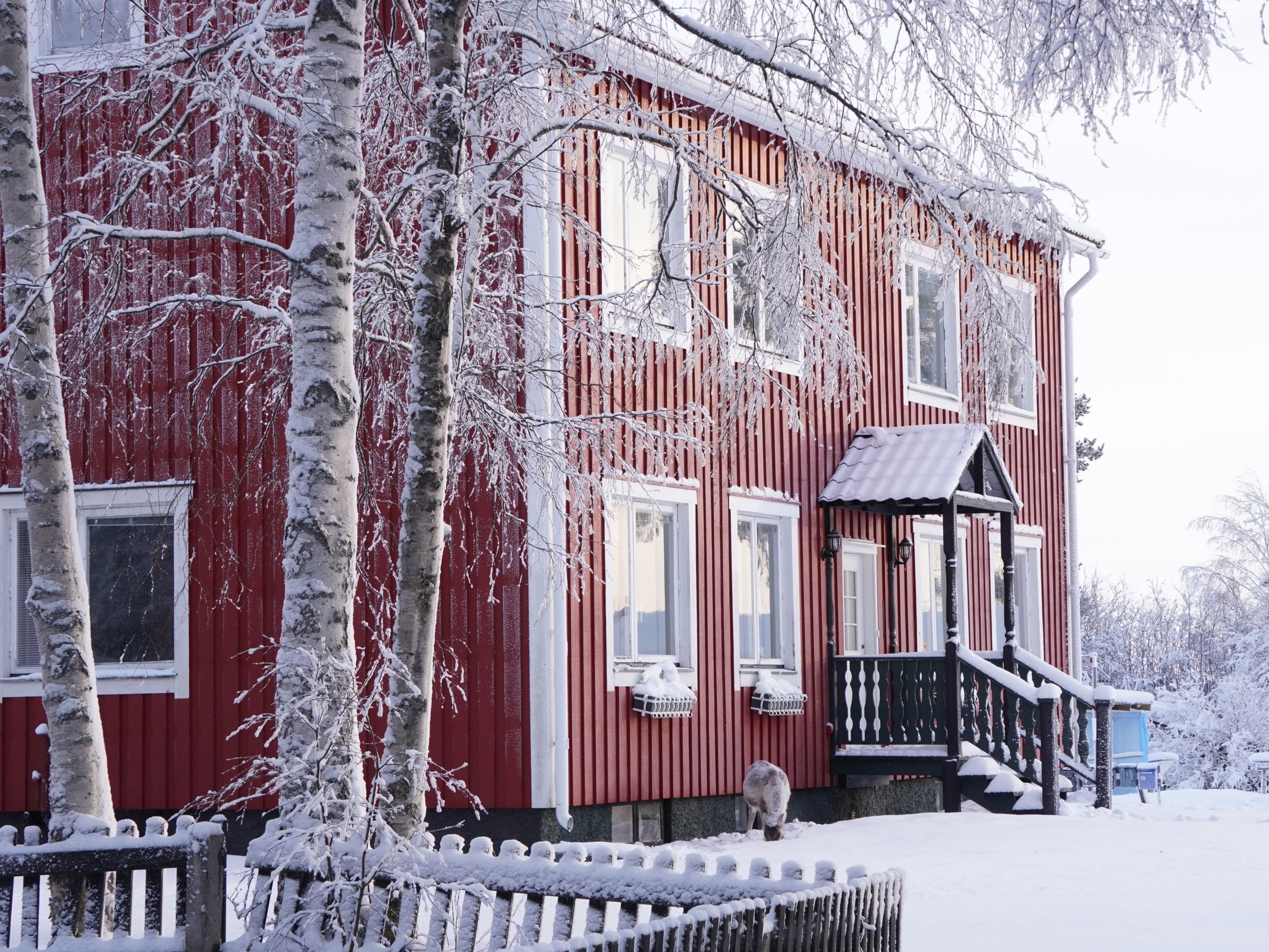 Vinterbild (säljarens privata bild)