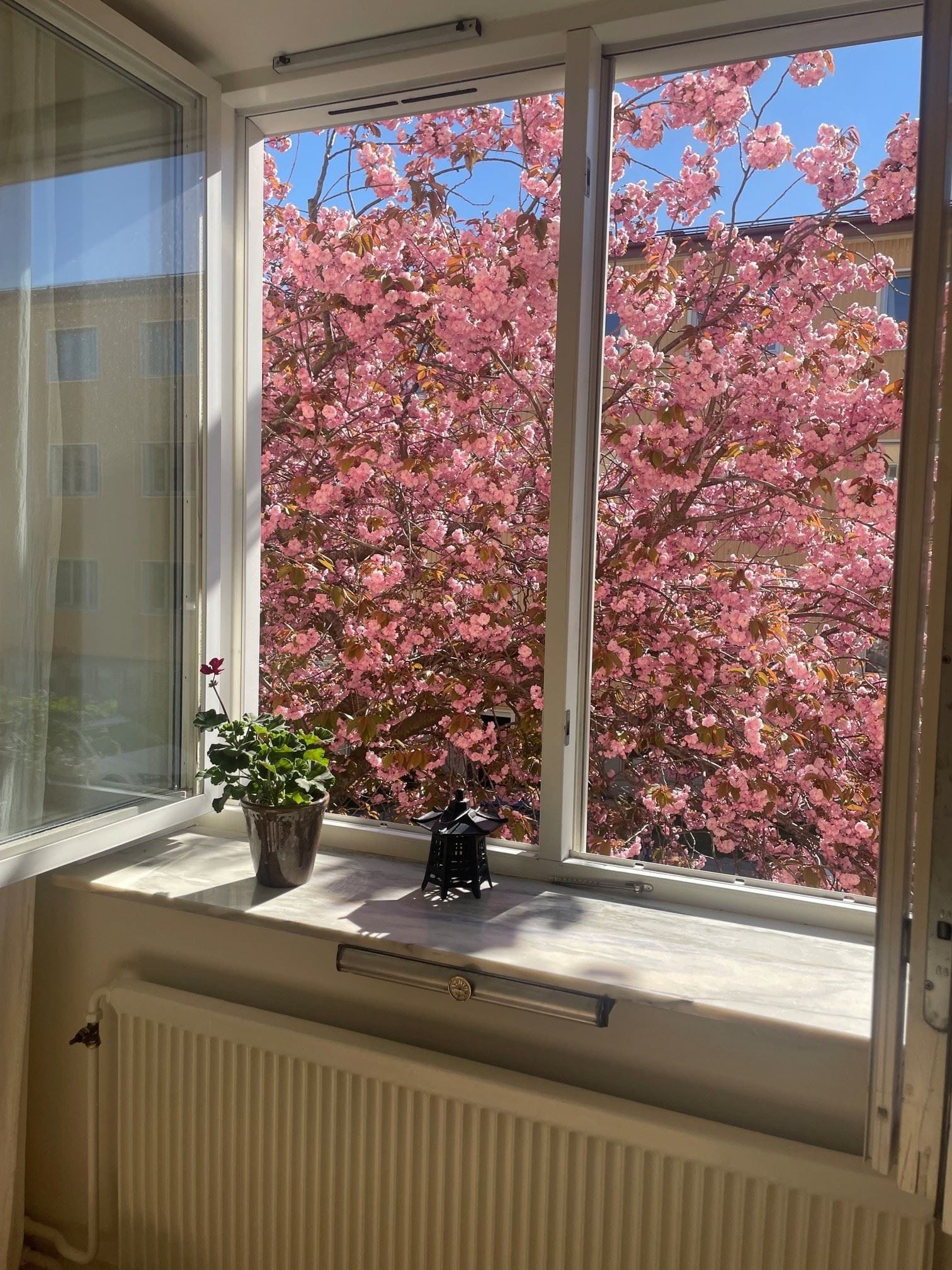 Säljarens egna bild på utsikten