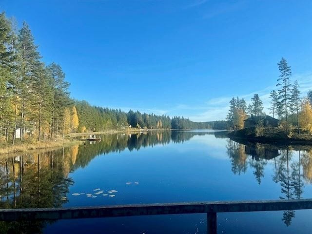Området