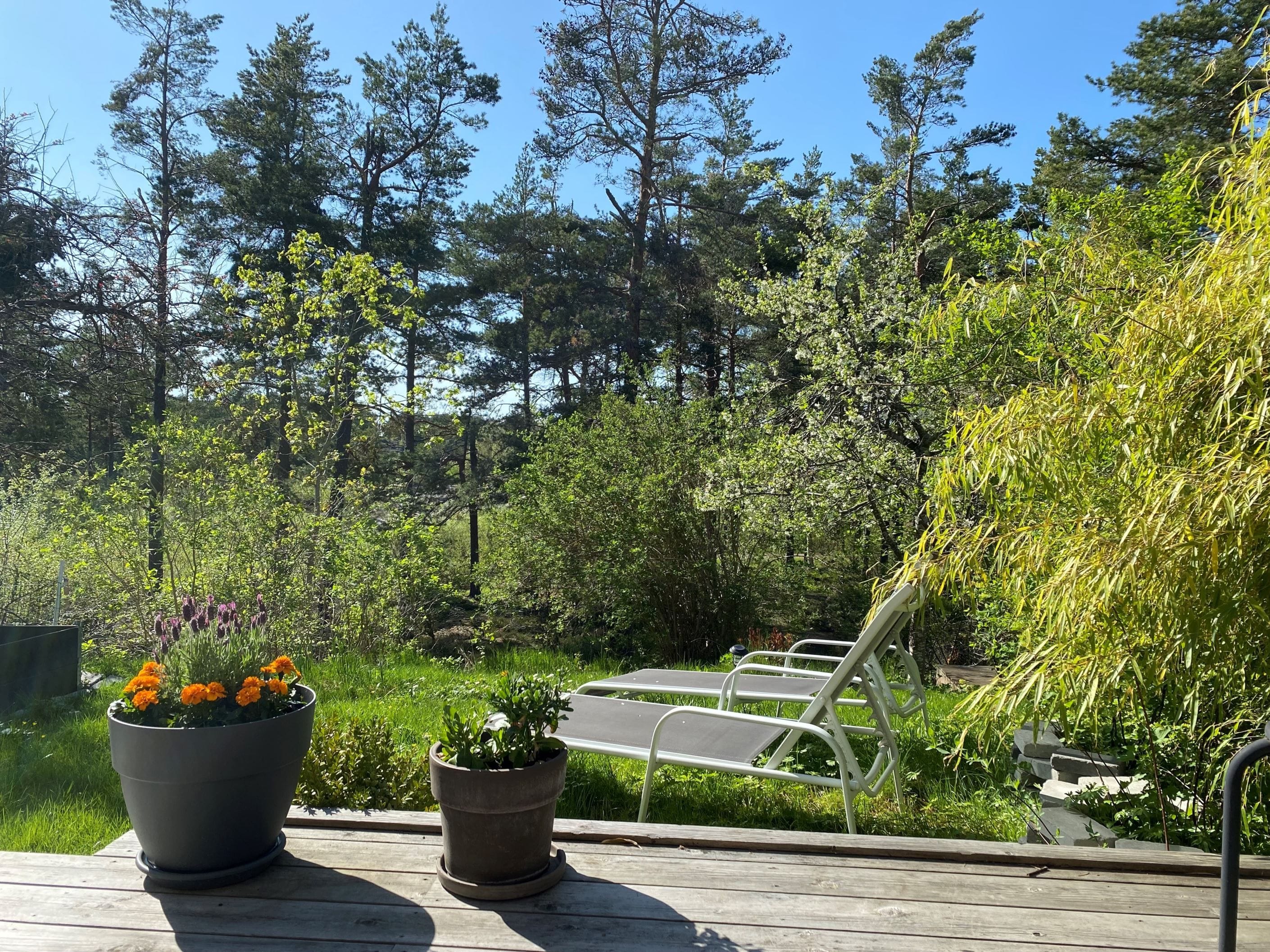 Bästa läge i området med sol em/kväll på baksidan och utsikt över grönskan i angränsande naturområde