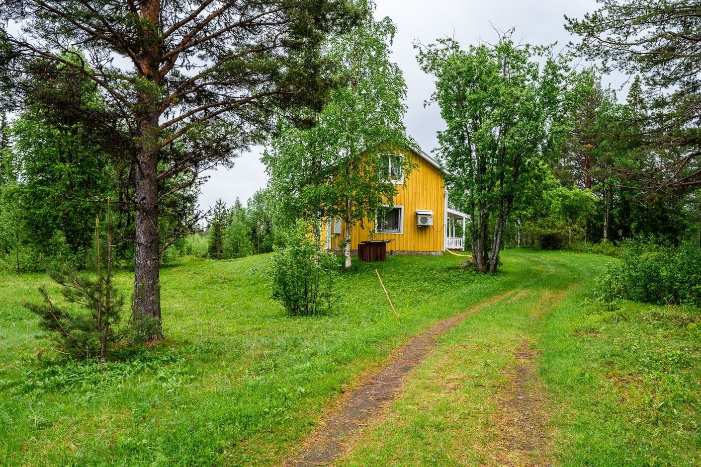 Kilvokielinen 6 Kilvokielinen 6