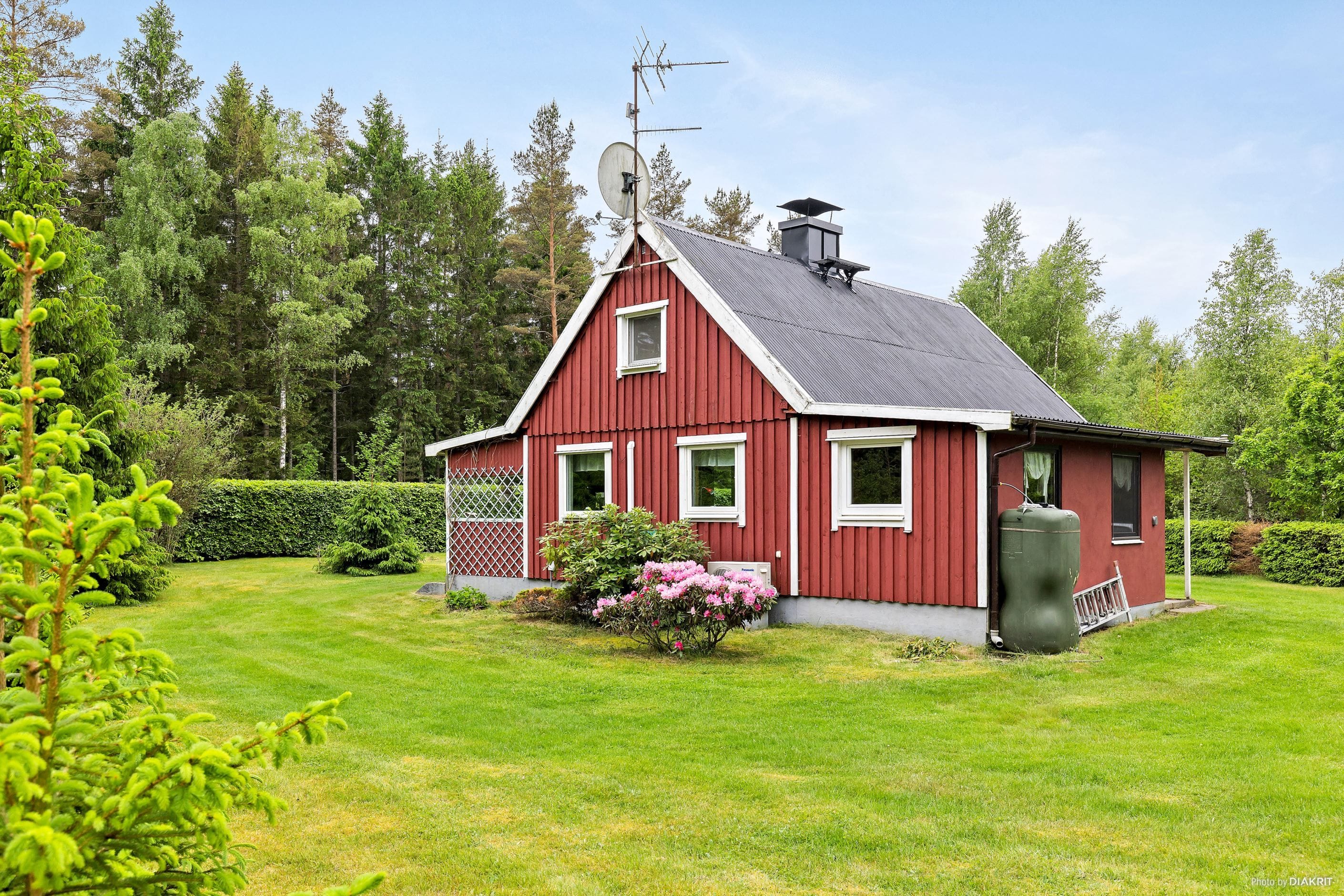 Exteriör