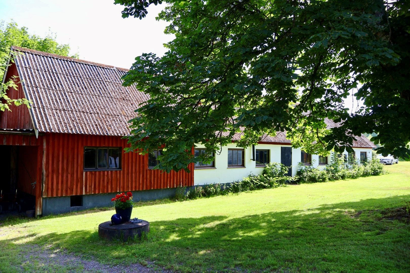 Exteriör