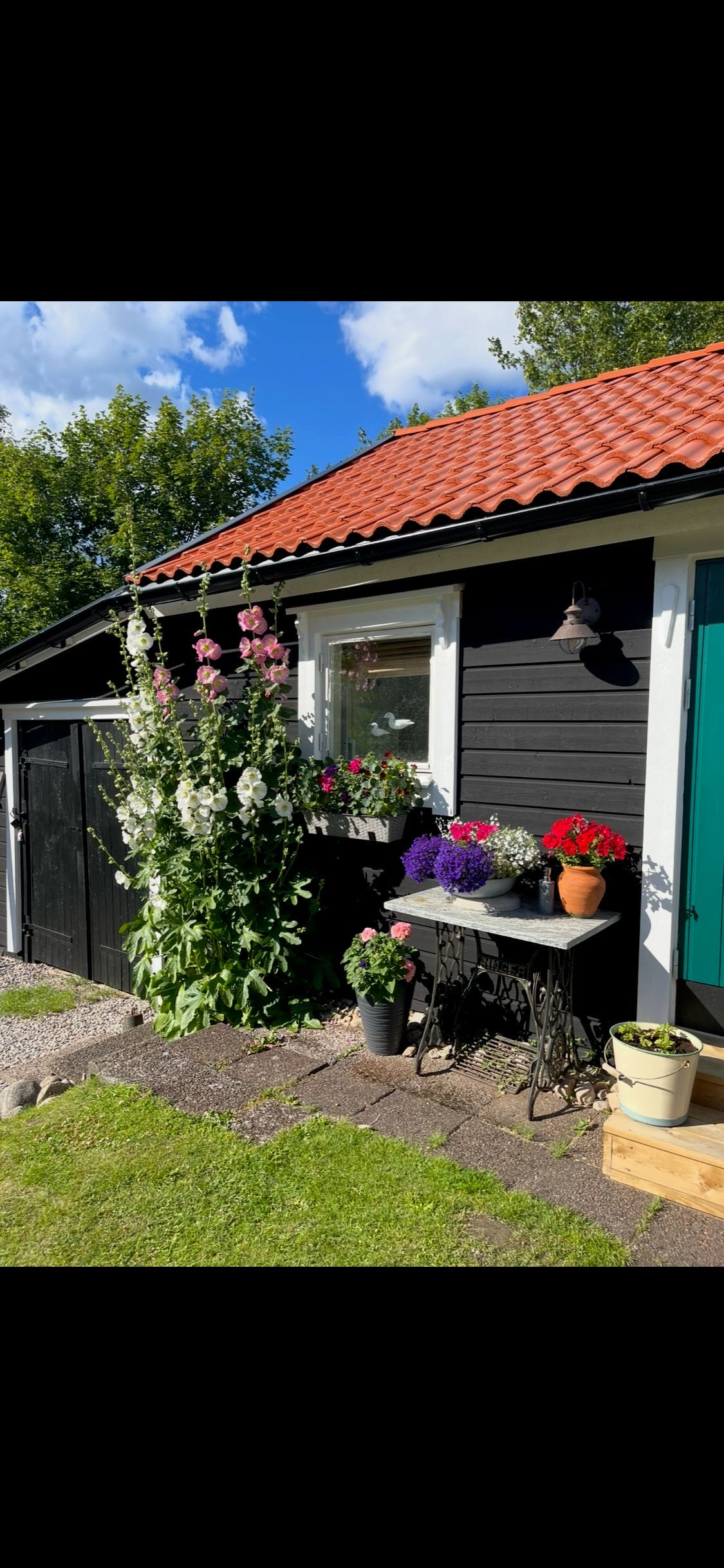 Säljaren egna bild