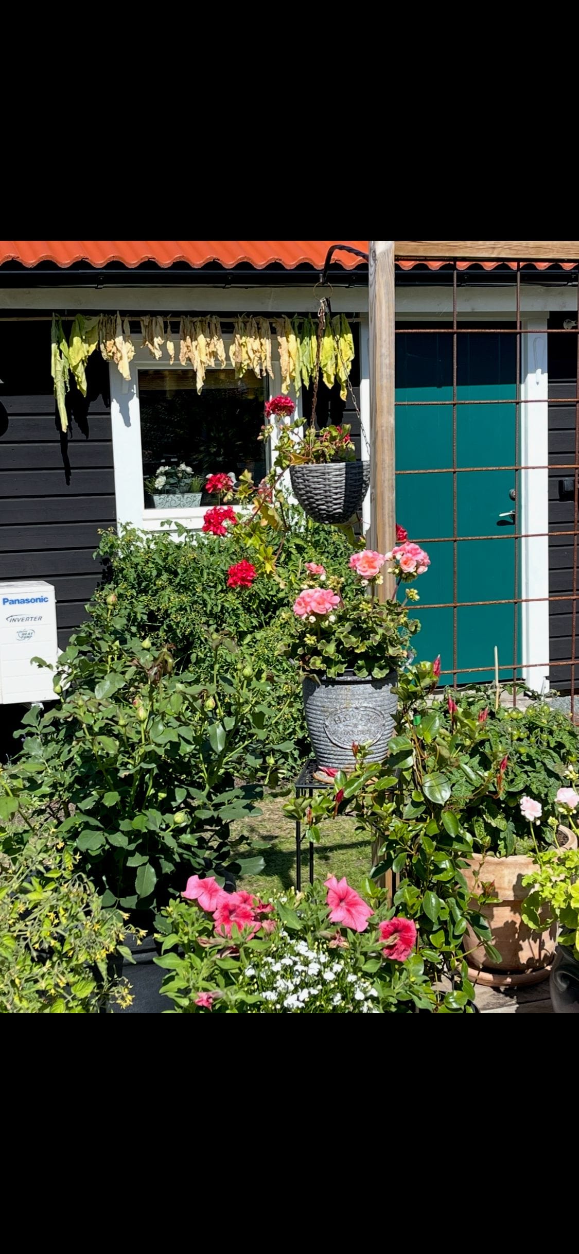 Säljaren egna bild