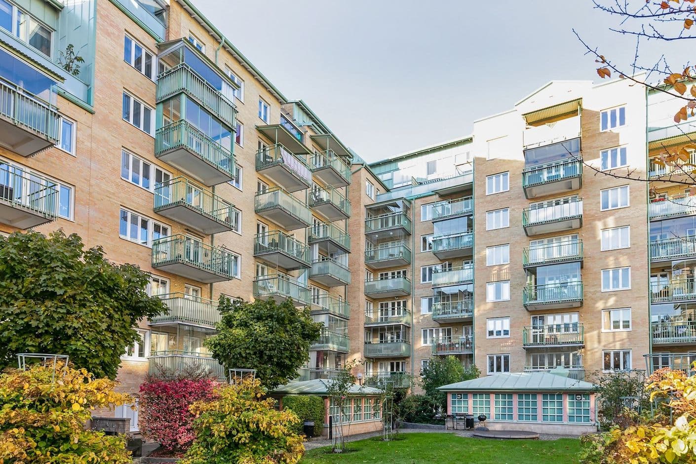 Adler salvius gata 15 Adler salvius gata 15