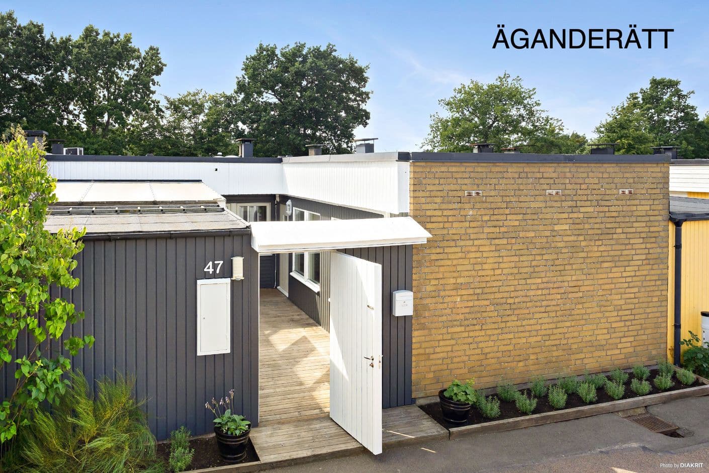 Anemongatan 47 Anemongatan 47